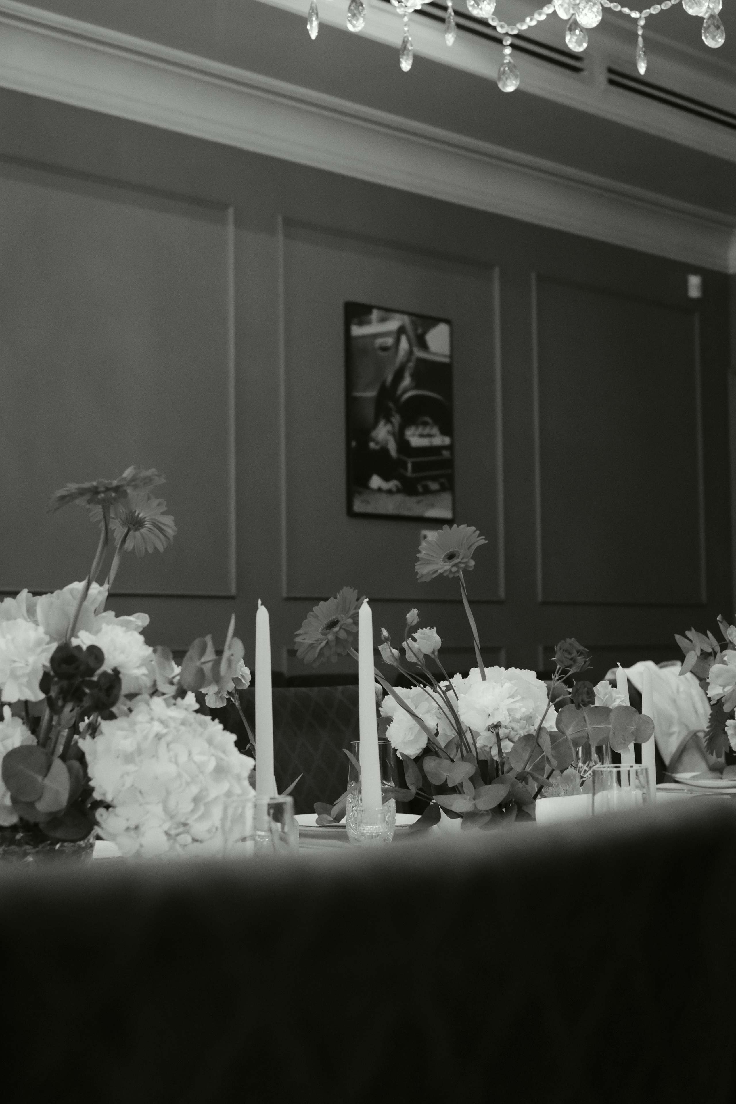 Они любили Jojo и боялись фотографироваться. Wed Photographers 📷 Saint Petersburg