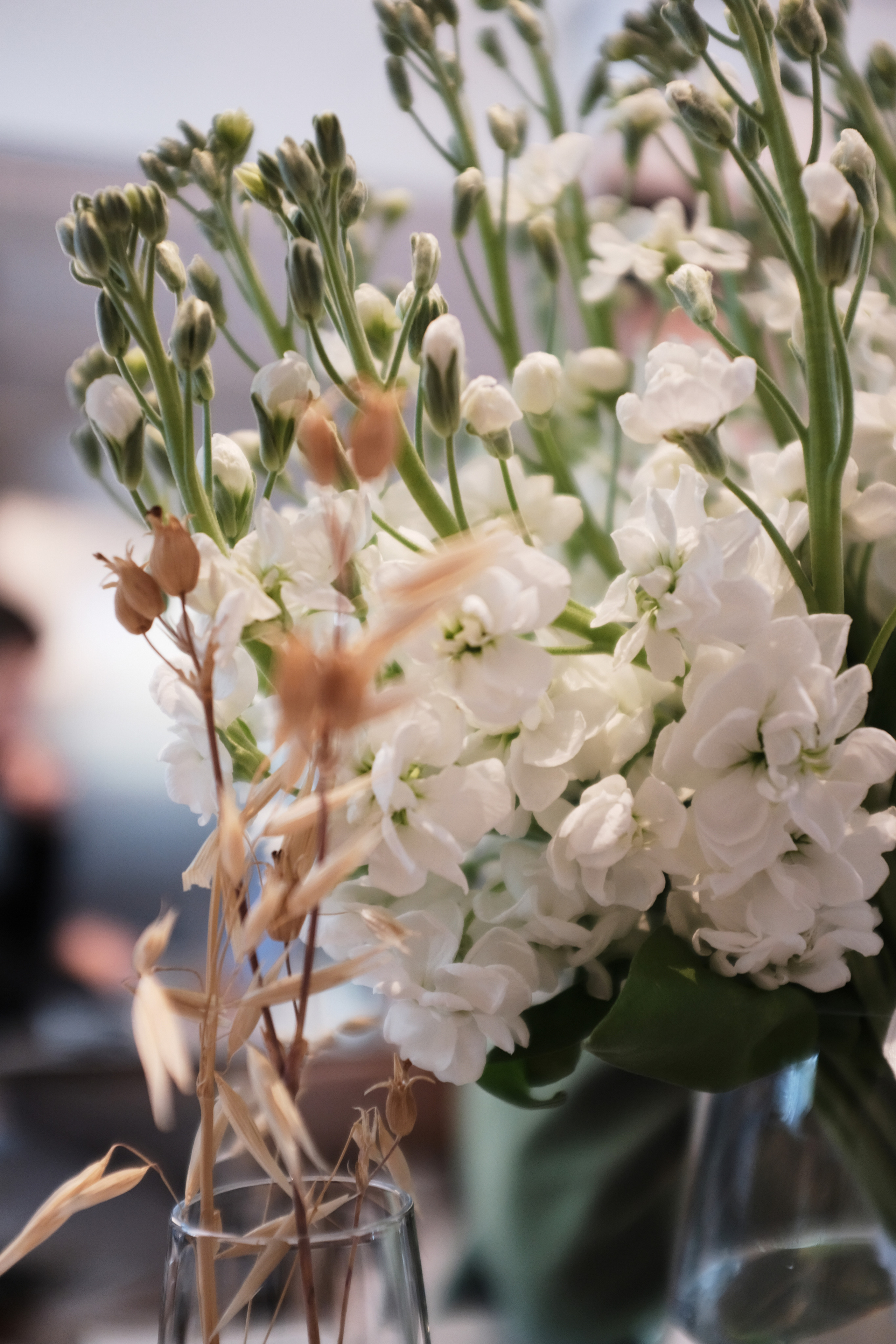 Аня&Артем Lovestory (Свадьба: О чем Вещь?). Wed Photographers 📷 Saint Petersburg