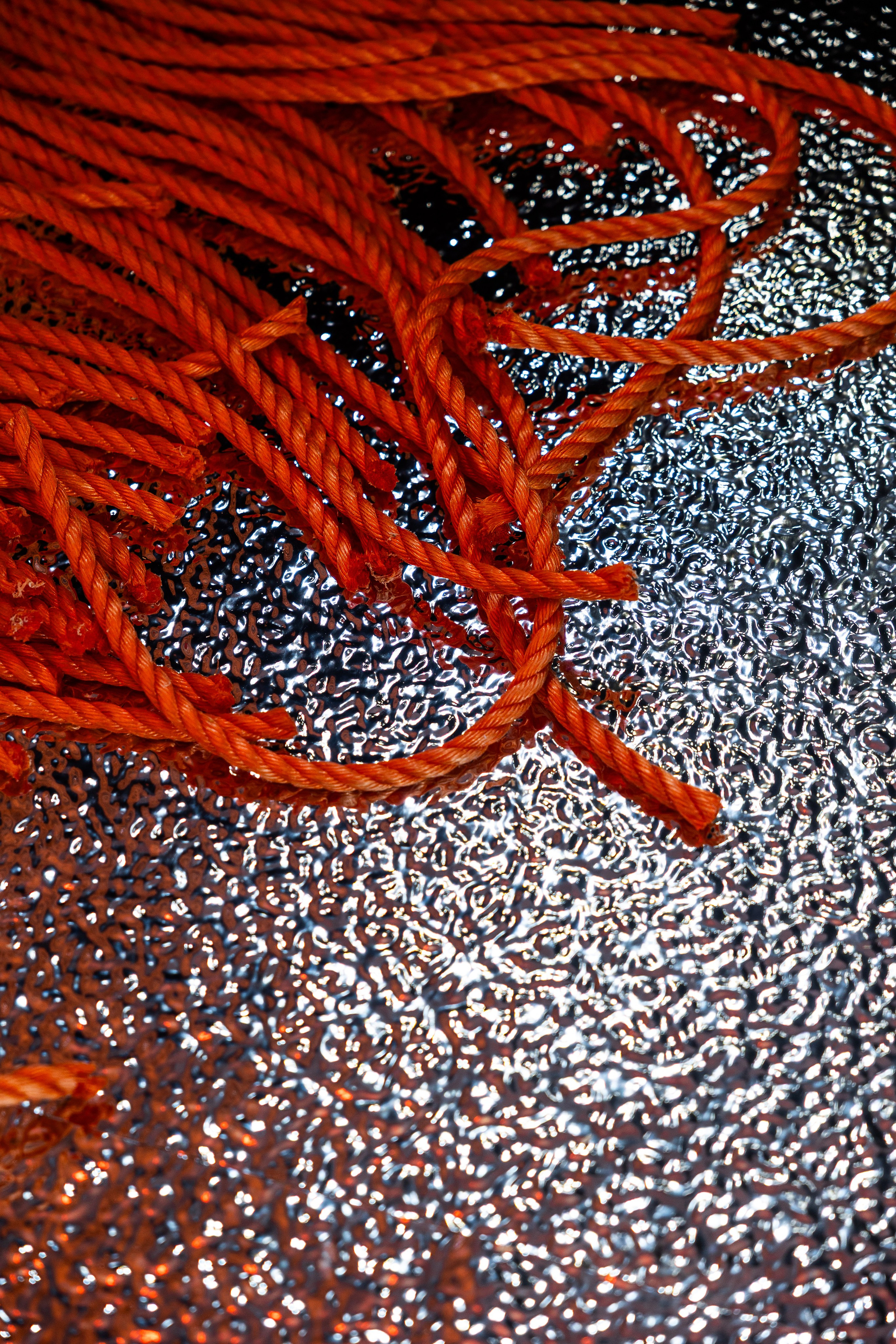 ДР «Трасса С55». Свадебный фотограф в Ростове-на-Дону Васильченко Сергей