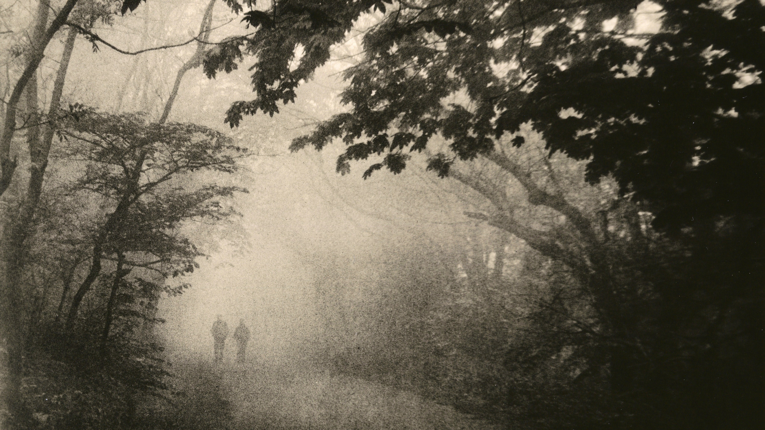 LANDSCAPES. Dmitry Gudimenko | Analog visual artist