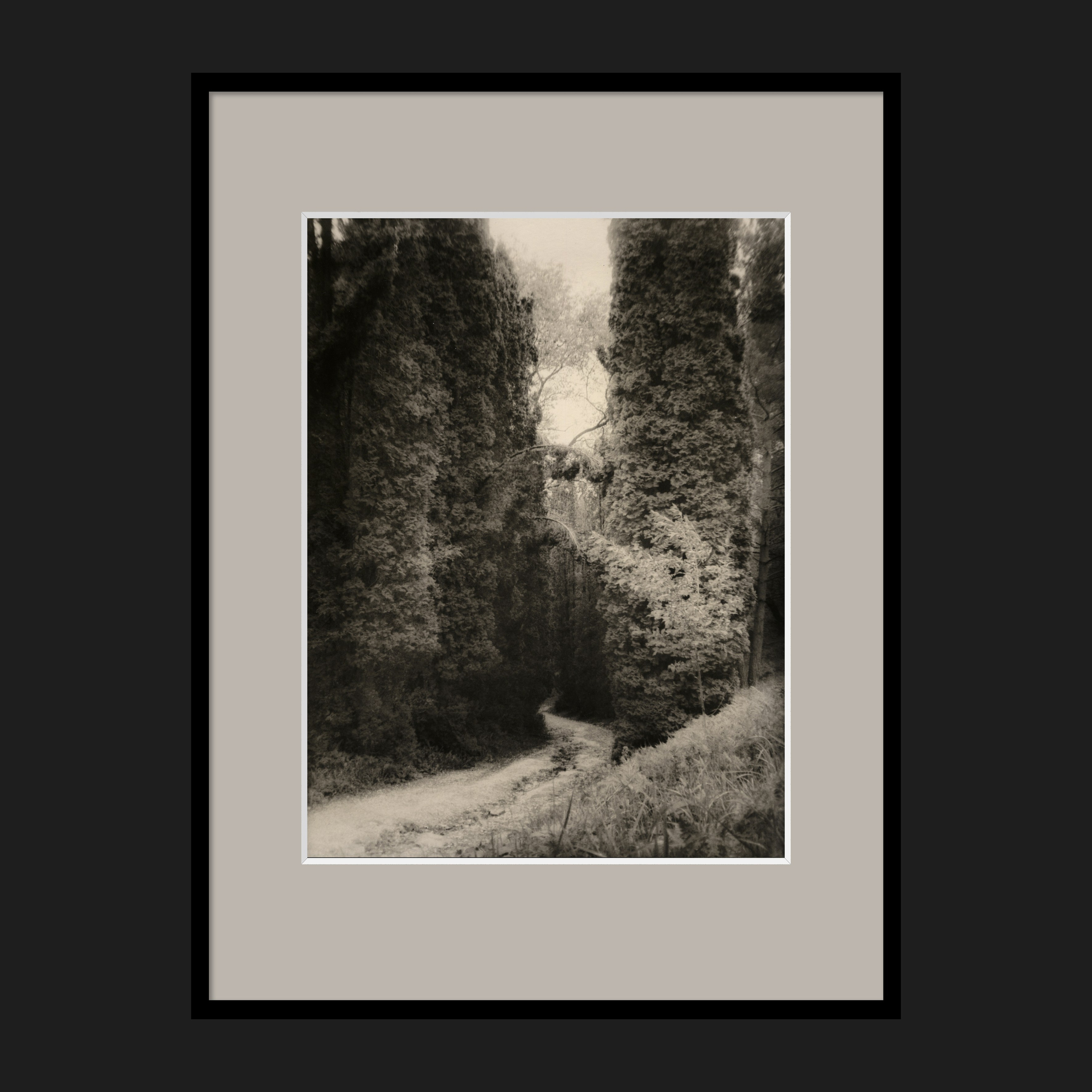 LANDSCAPES. Dmitry Gudimenko | Analog visual artist