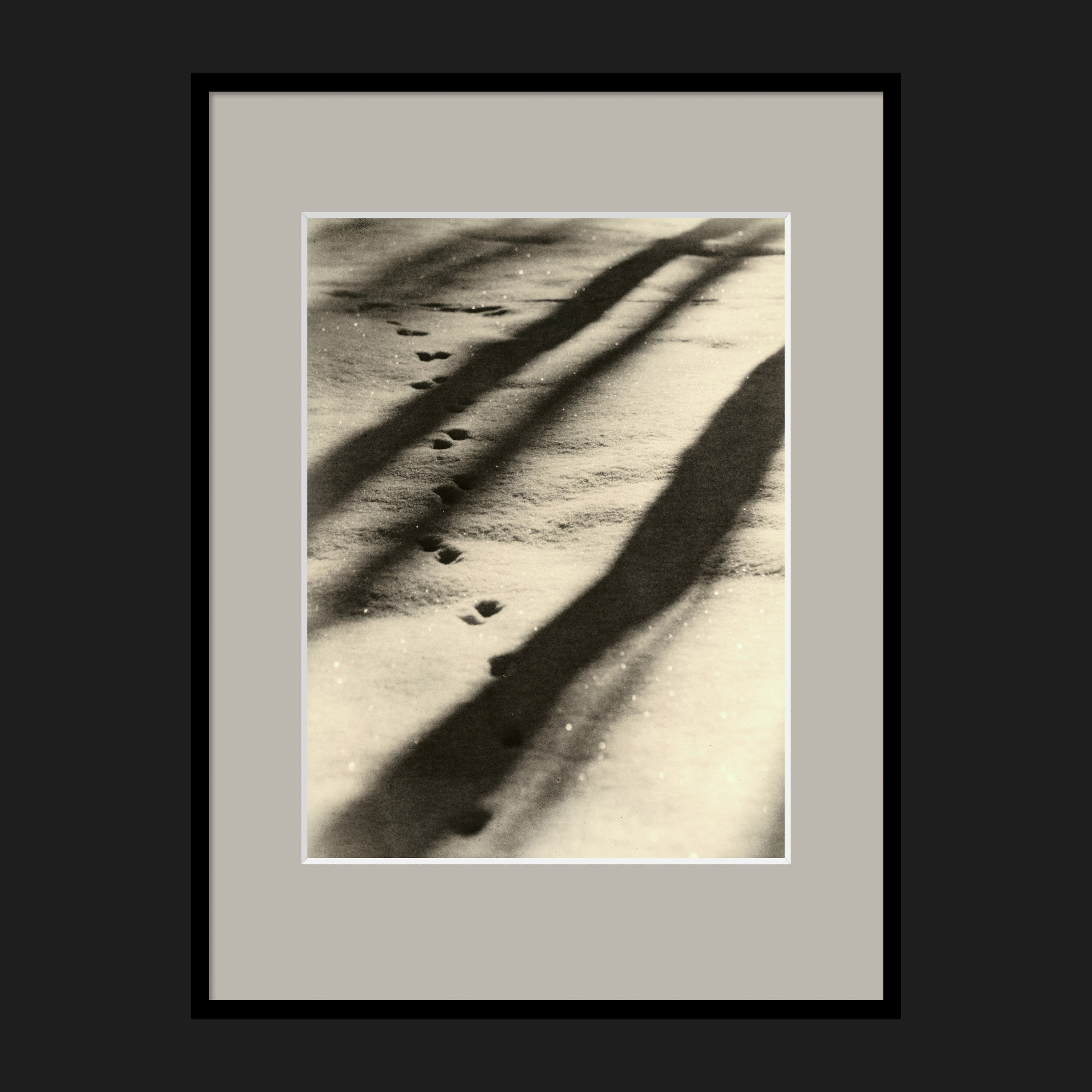 LANDSCAPES. Dmitry Gudimenko | Analog visual artist