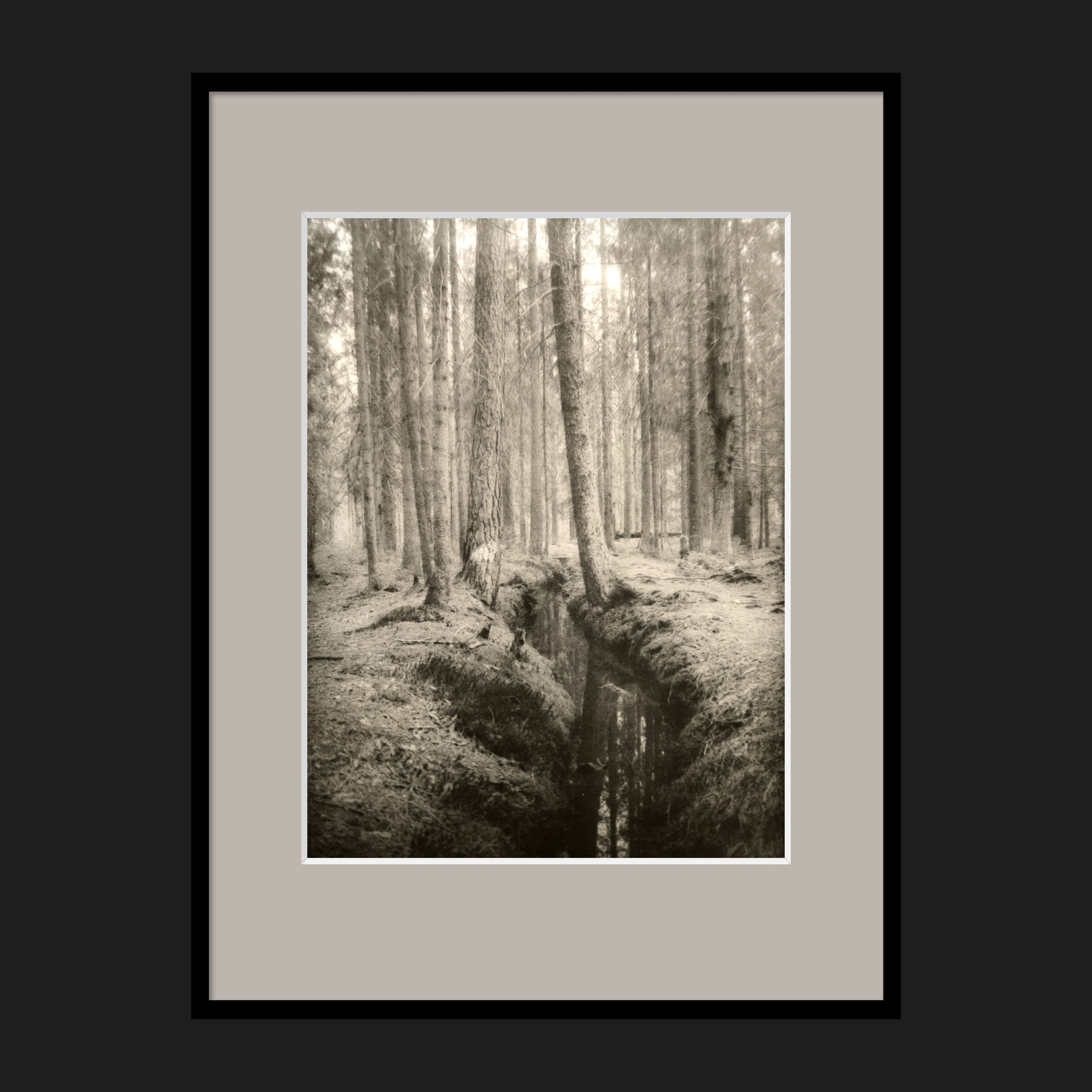 LANDSCAPES. Dmitry Gudimenko | Analog visual artist