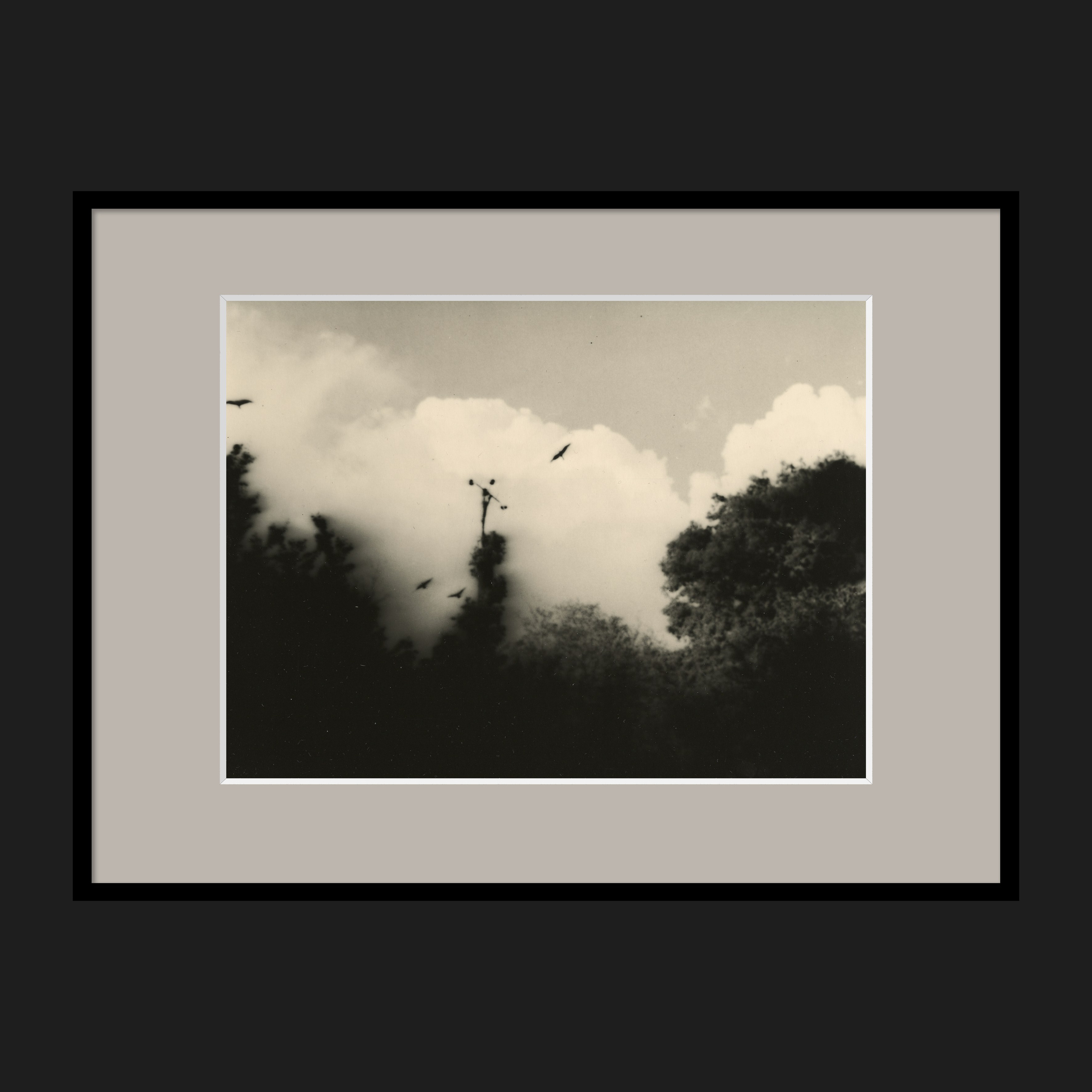 LANDSCAPES. Dmitry Gudimenko | Analog visual artist