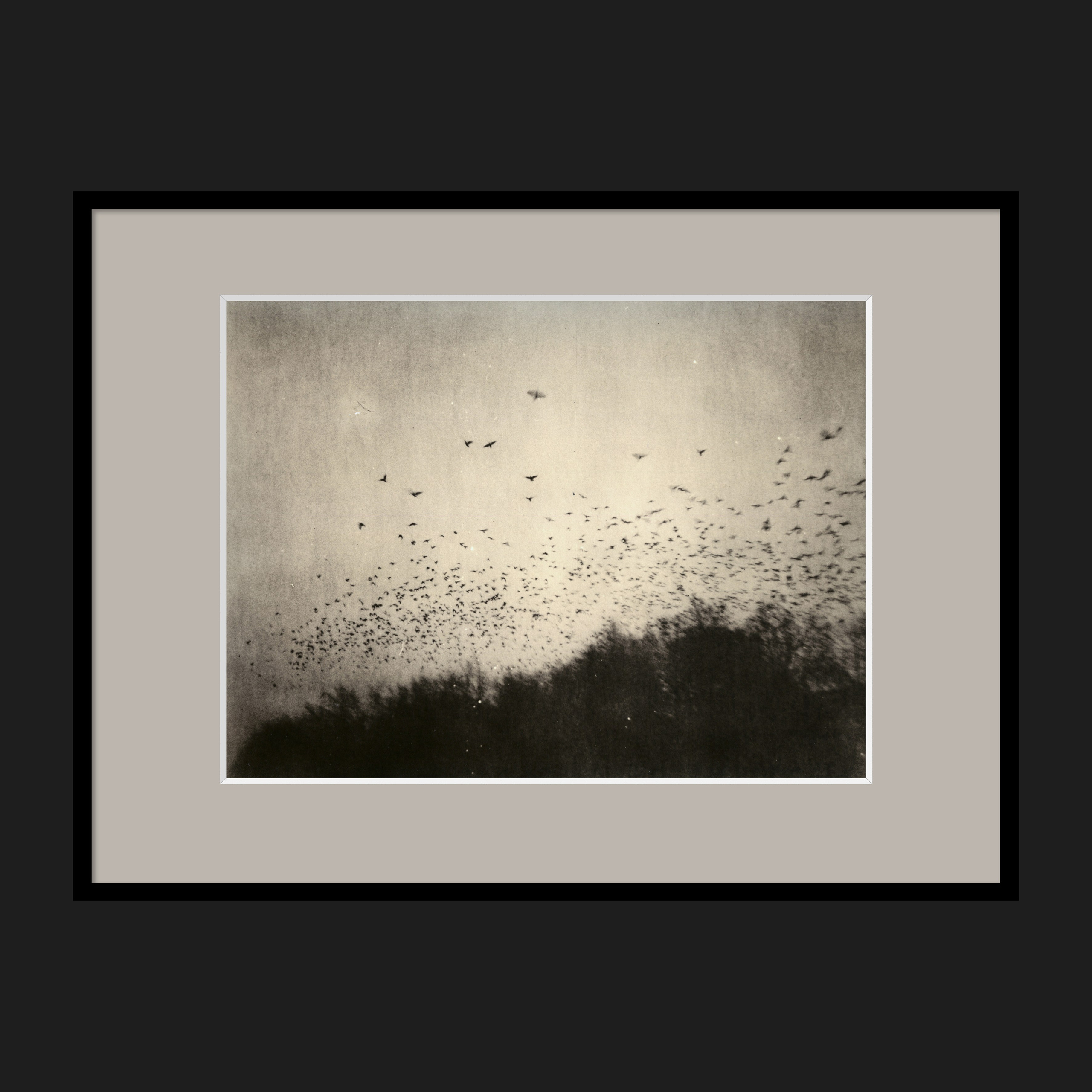 LANDSCAPES. Dmitry Gudimenko | Analog visual artist