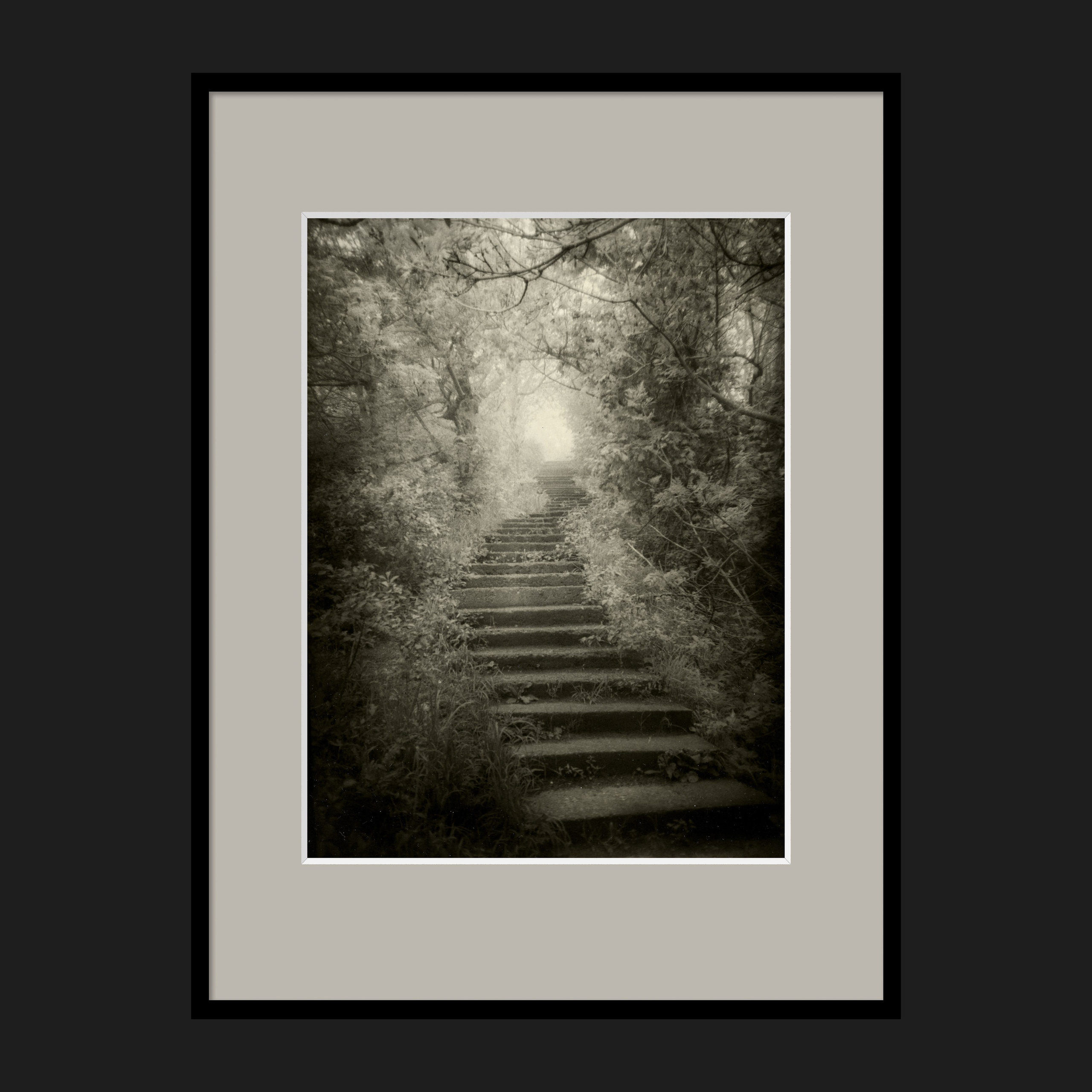 LANDSCAPES. Dmitry Gudimenko | Analog visual artist