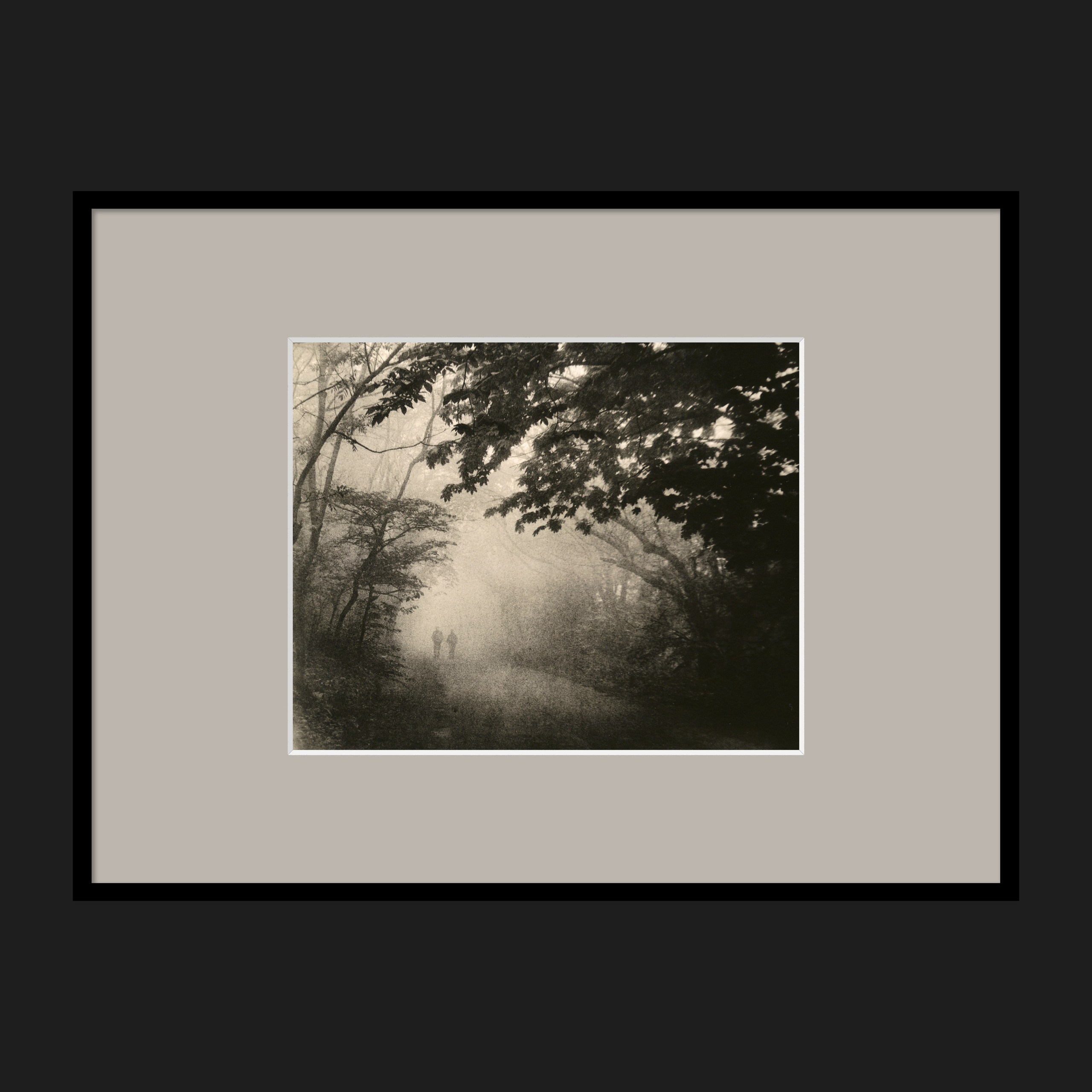 LANDSCAPES. Dmitry Gudimenko | Analog visual artist