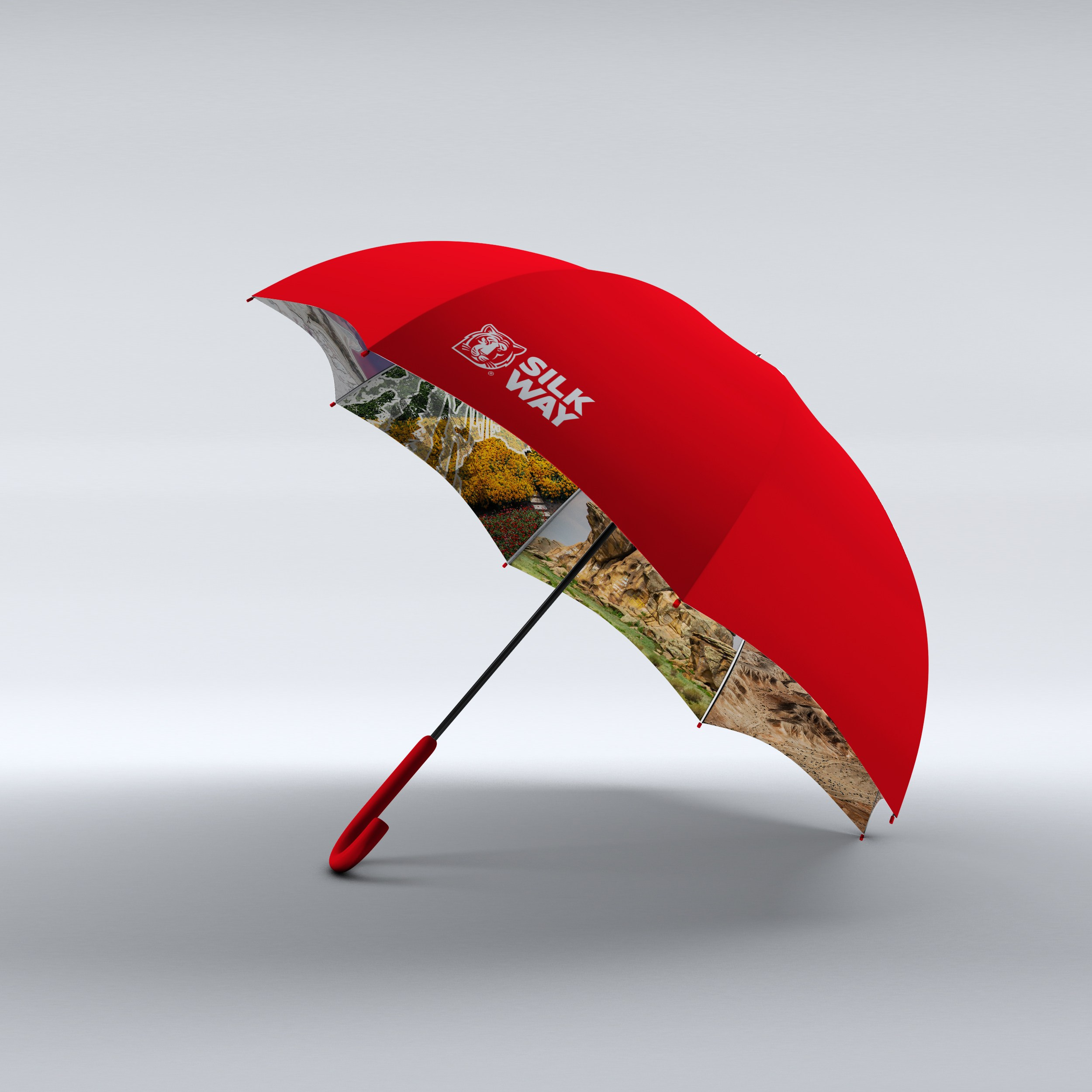 SILK WAY RALLY. Портфолио