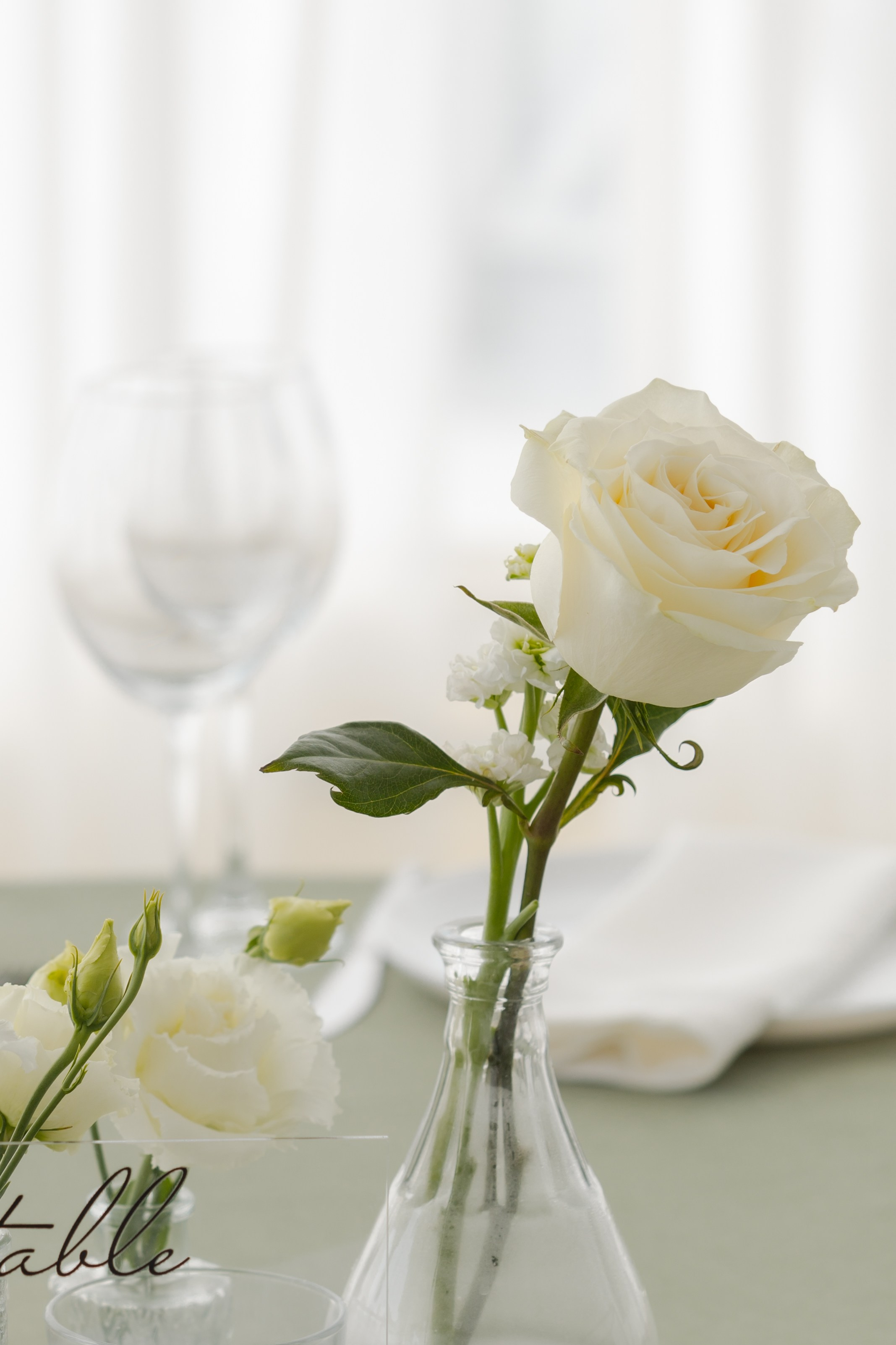 Саша и Алина. Главная