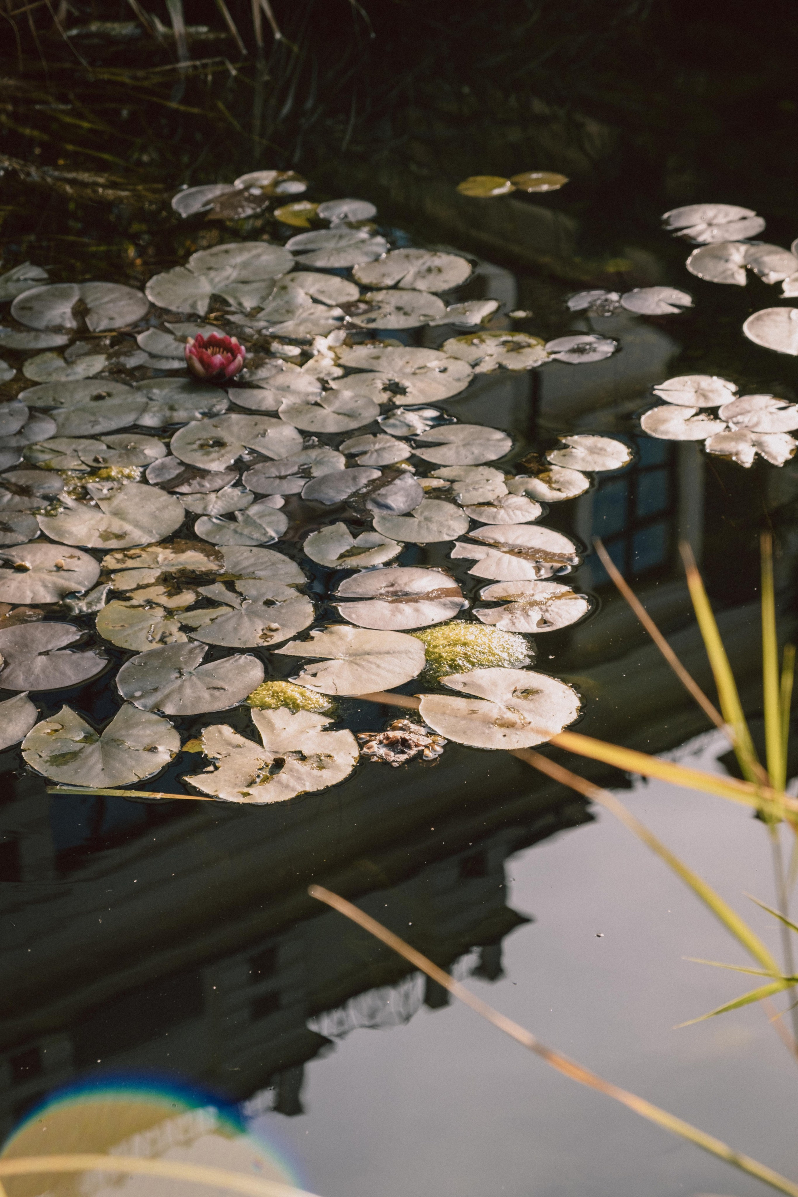 Замечательная повседневность. Контент-фотограф и видеограф в Перми