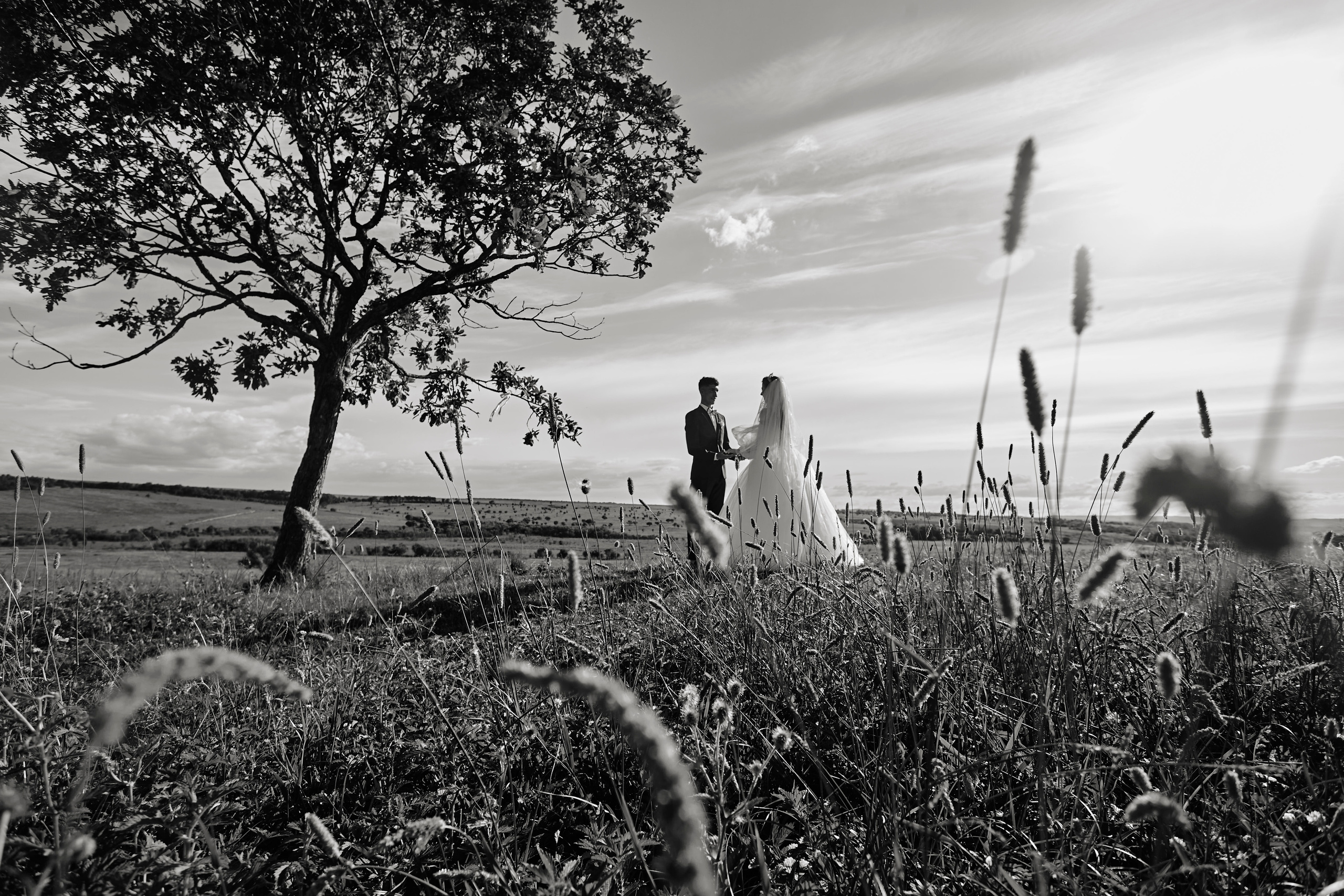 Дмитрий & Виктория. Фотограф