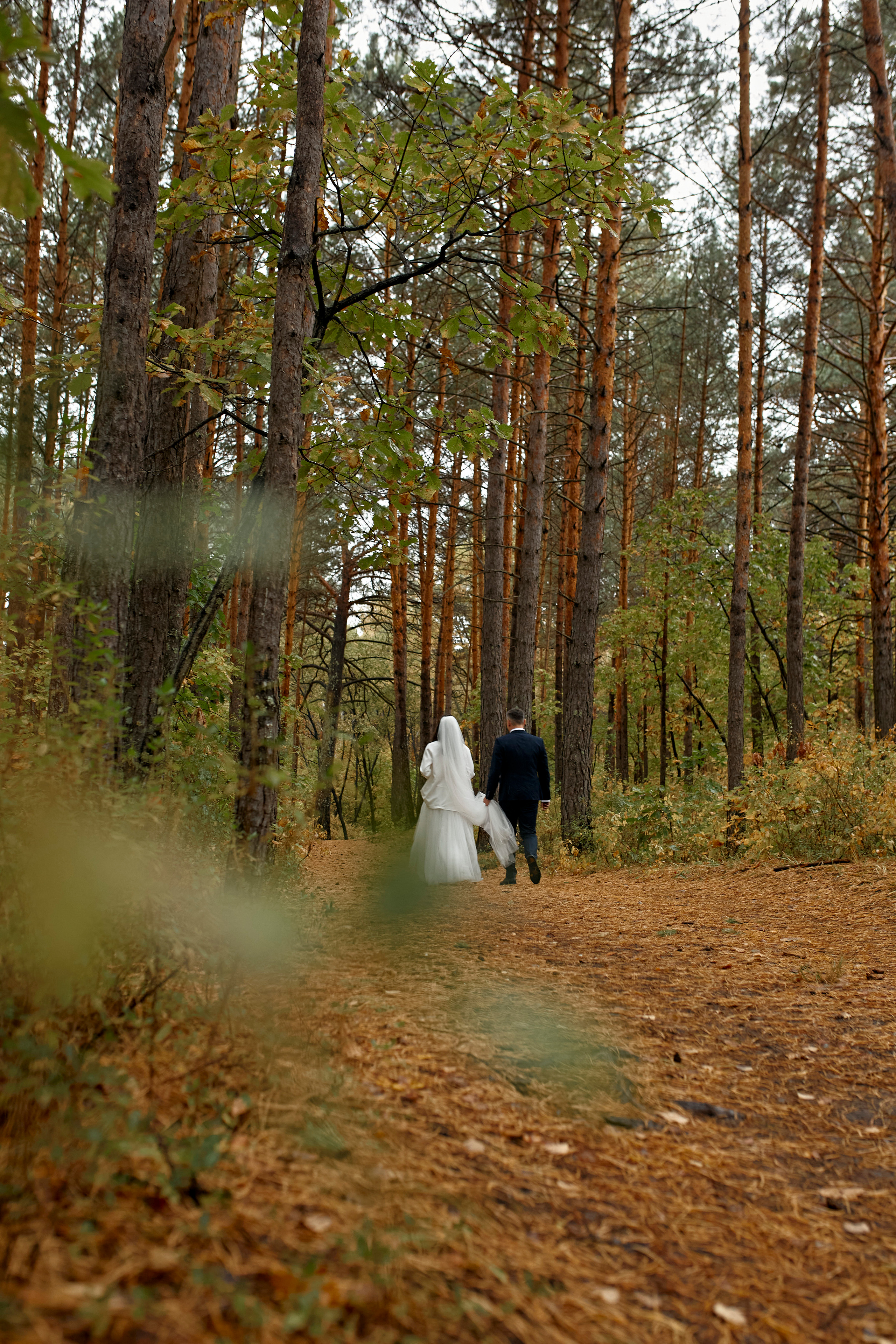 Александр & Олеся. Фотограф