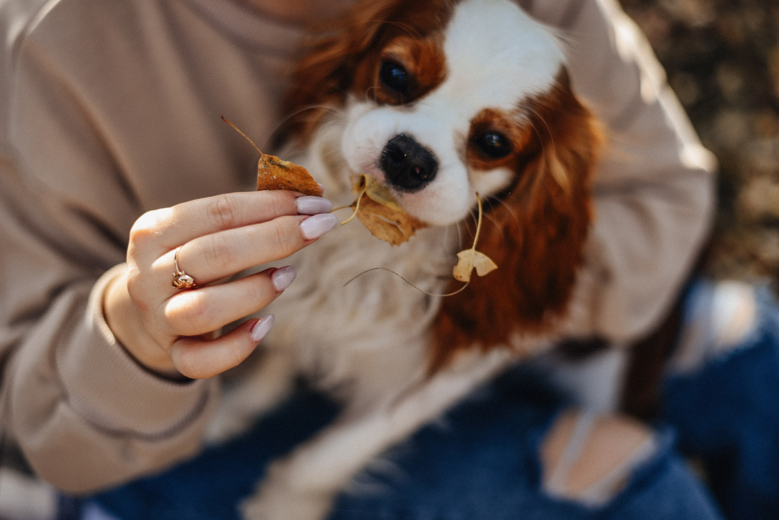 Аня + Арни. Фотограф в Москве и Королёве Сутягина Мария