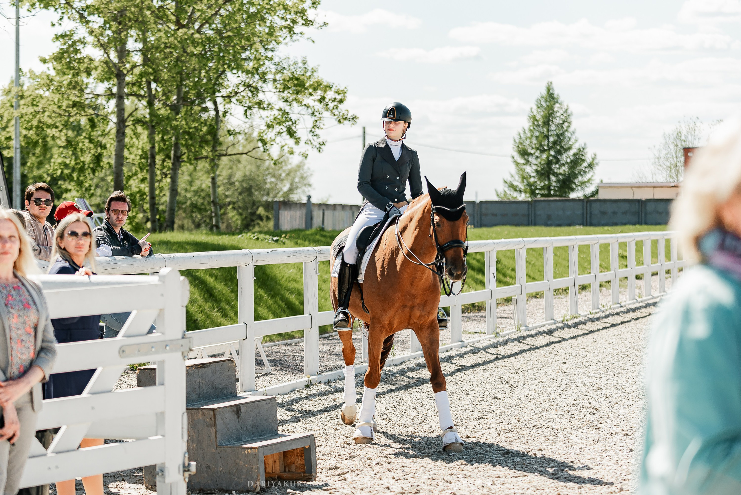 РЕПОРТАЖ МКК ВОЛЬТ «LA TULIPS». Конный фотограф Куракина Дарья • Фотосессии с лошадьми