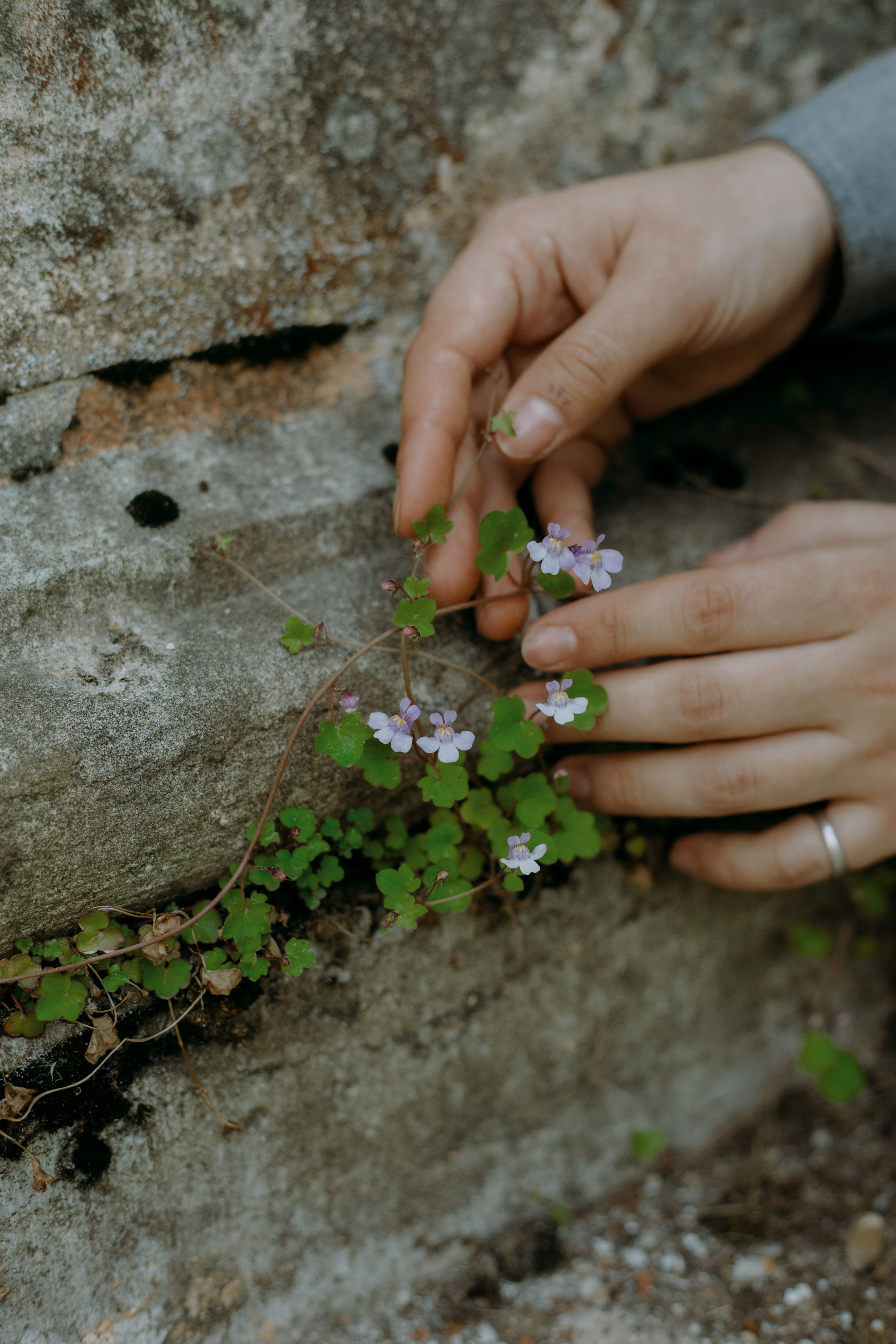 Аня. Семейный и портретный фотограф в Санкт-Петербурге