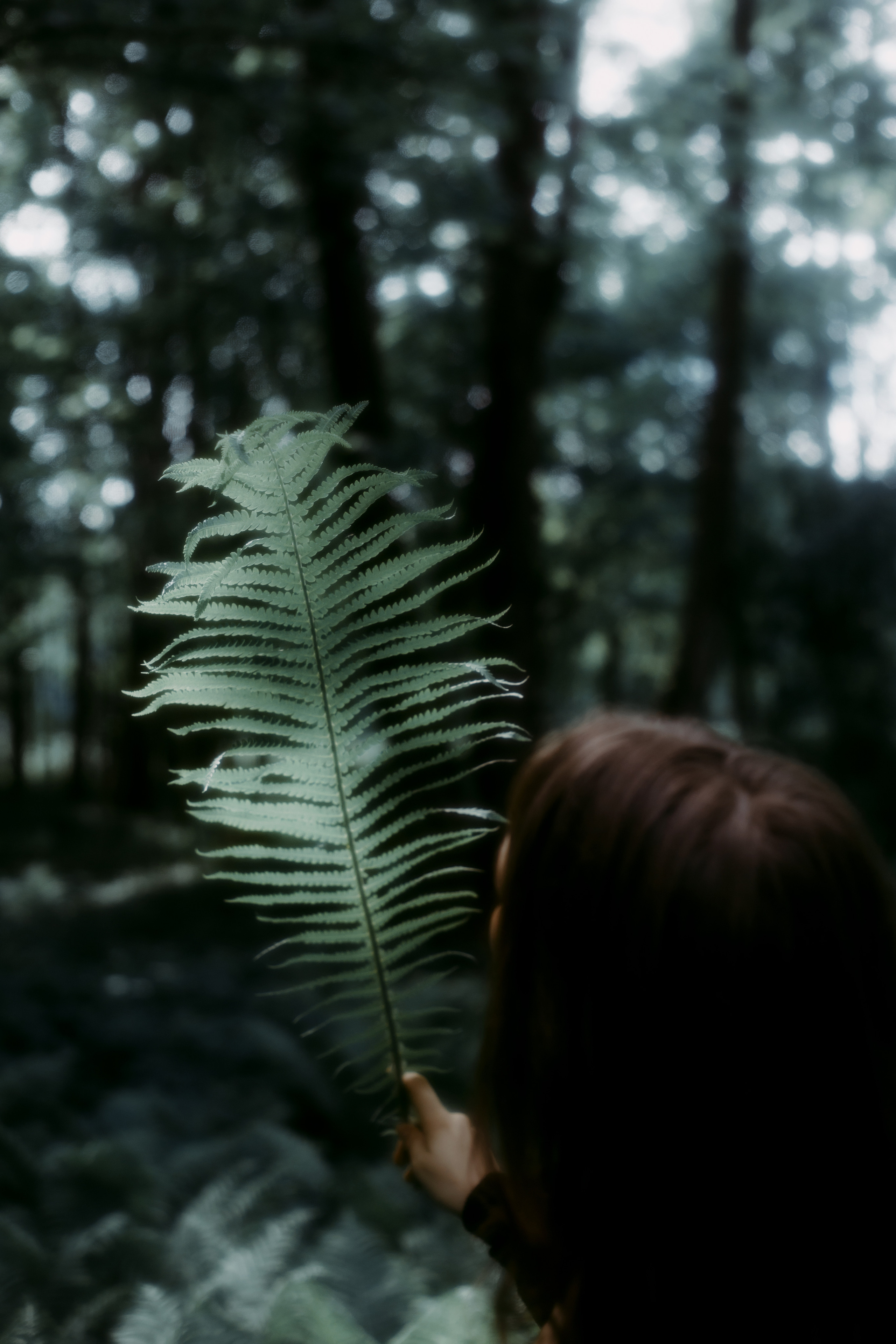 Аня. Семейный и портретный фотограф в Санкт-Петербурге