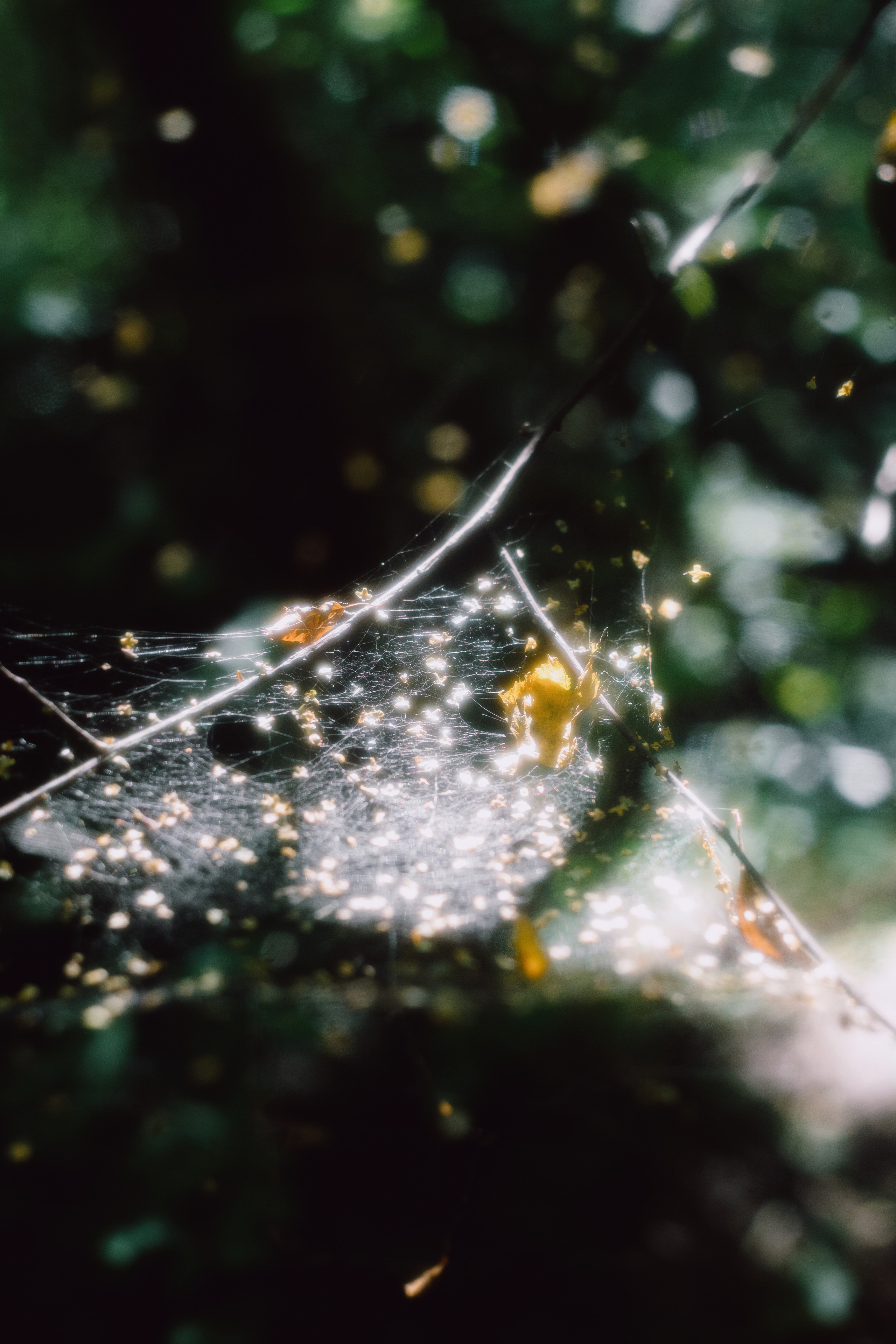 Настя. Семейный и портретный фотограф в Санкт-Петербурге