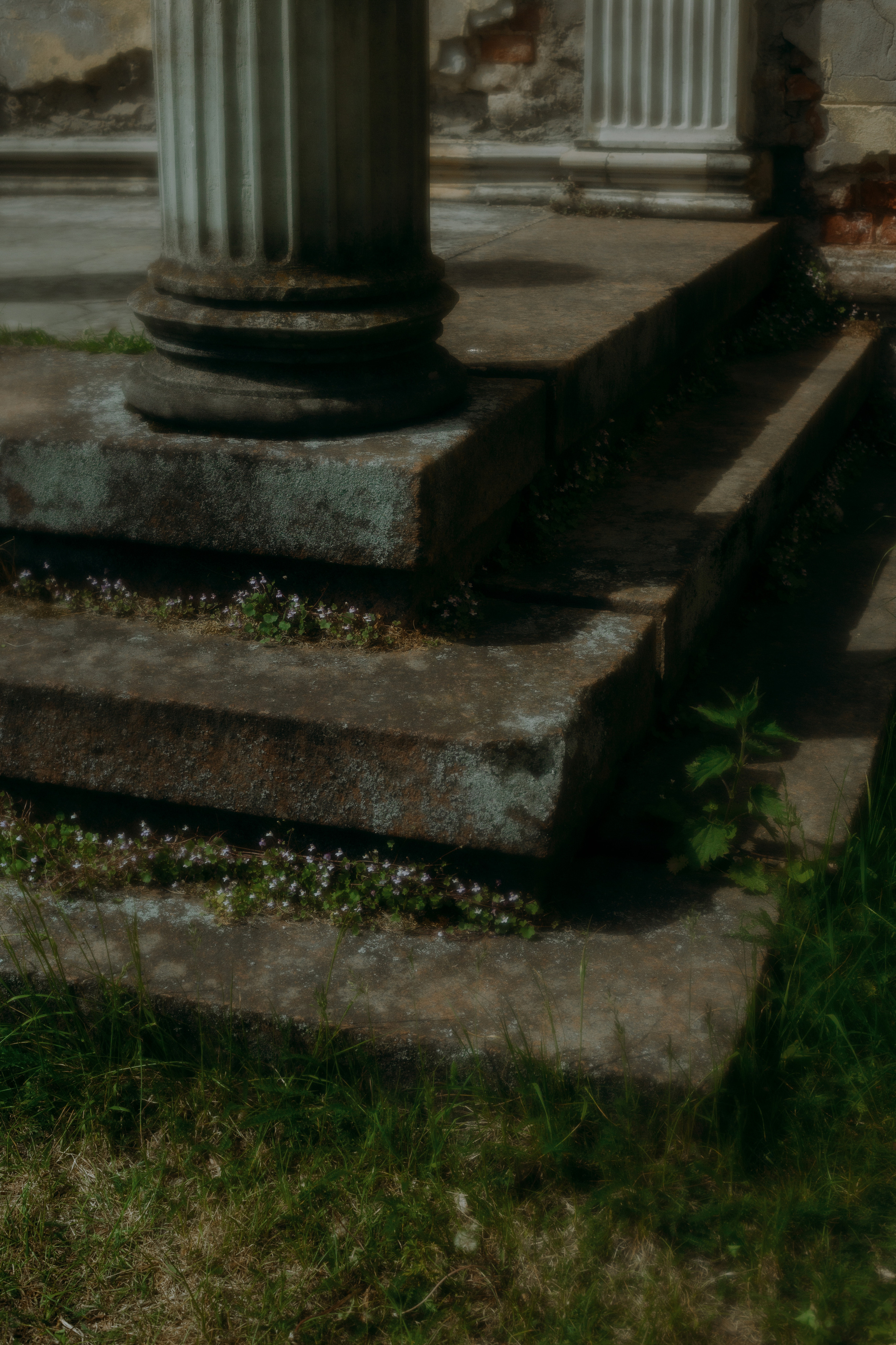 Аня. Семейный и портретный фотограф в Санкт-Петербурге