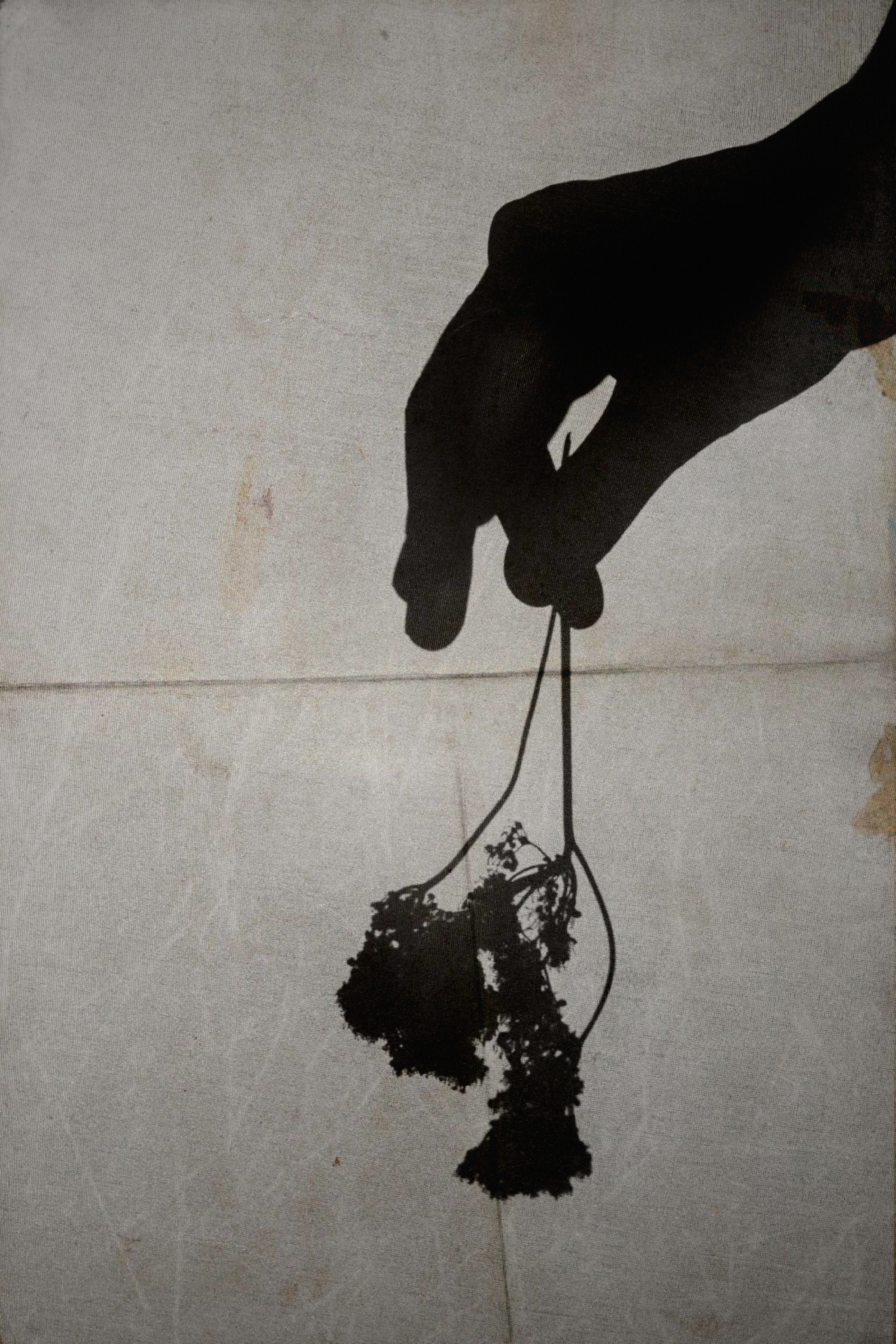 Надя. Семейный и портретный фотограф в Санкт-Петербурге