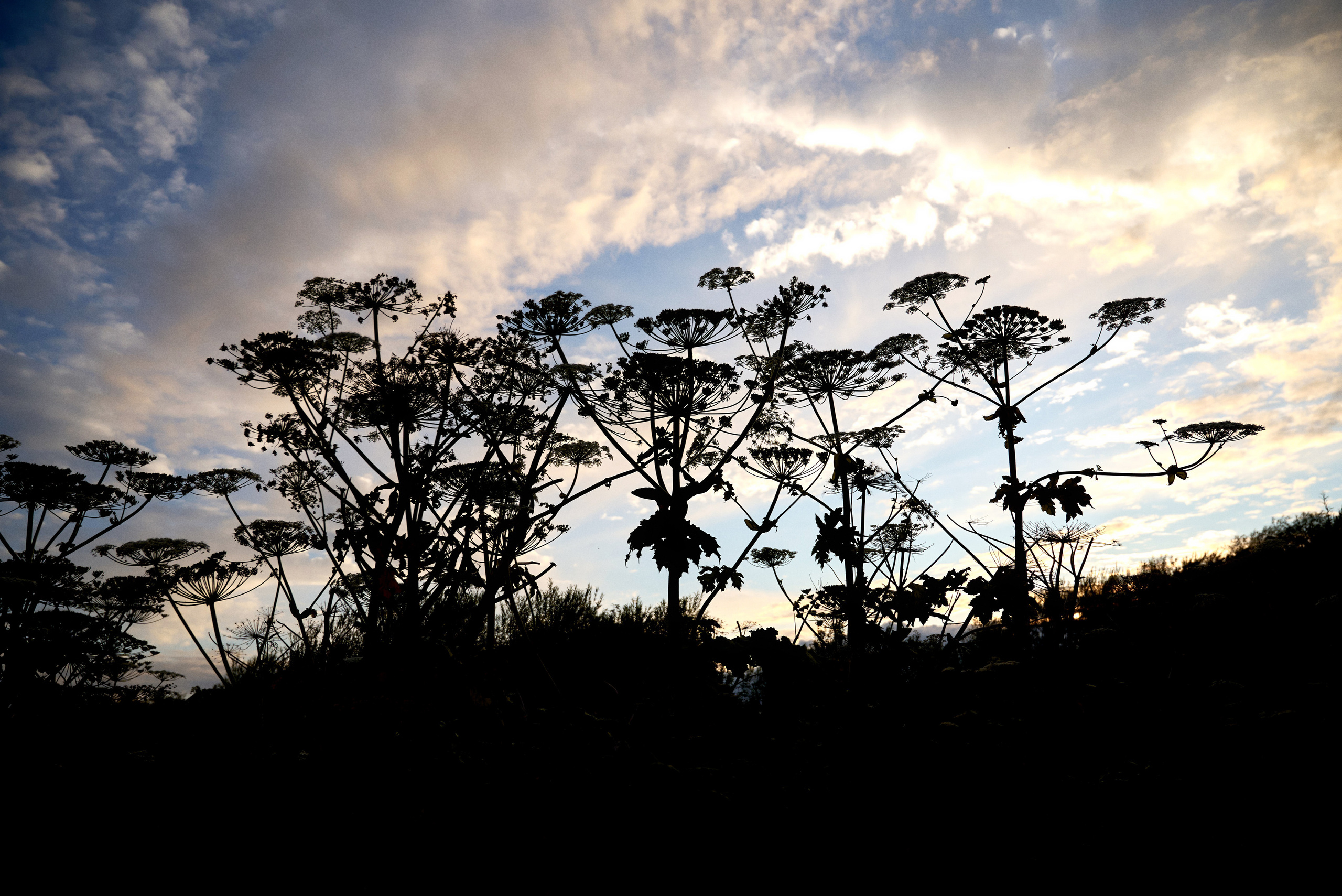 К черту тайминг. Свадебный и портретный фотограф Пётр Ладанов