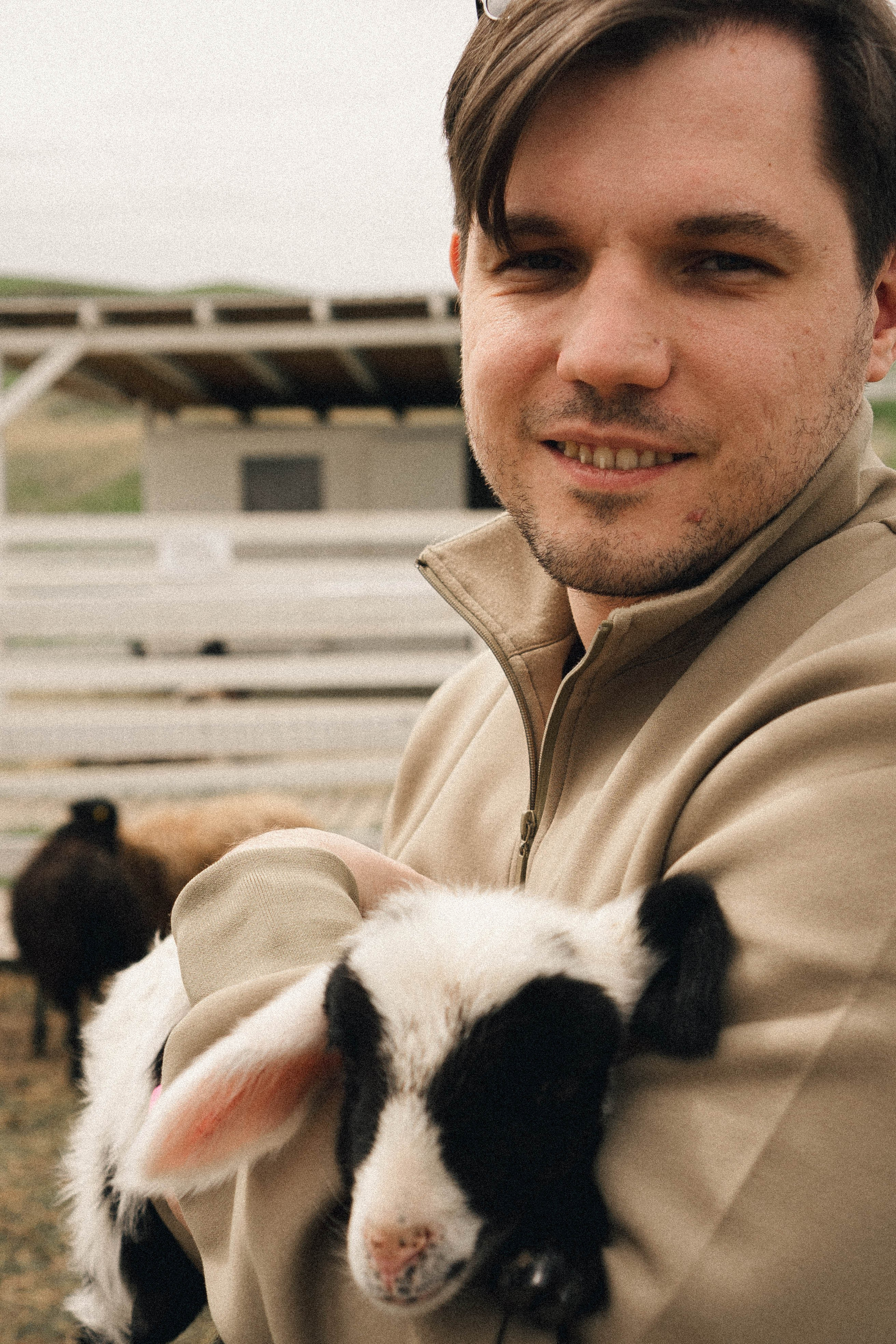 Ферма Альпак. Профессиональный фотограф, Санкт-Петербург — Виктория Богомолова