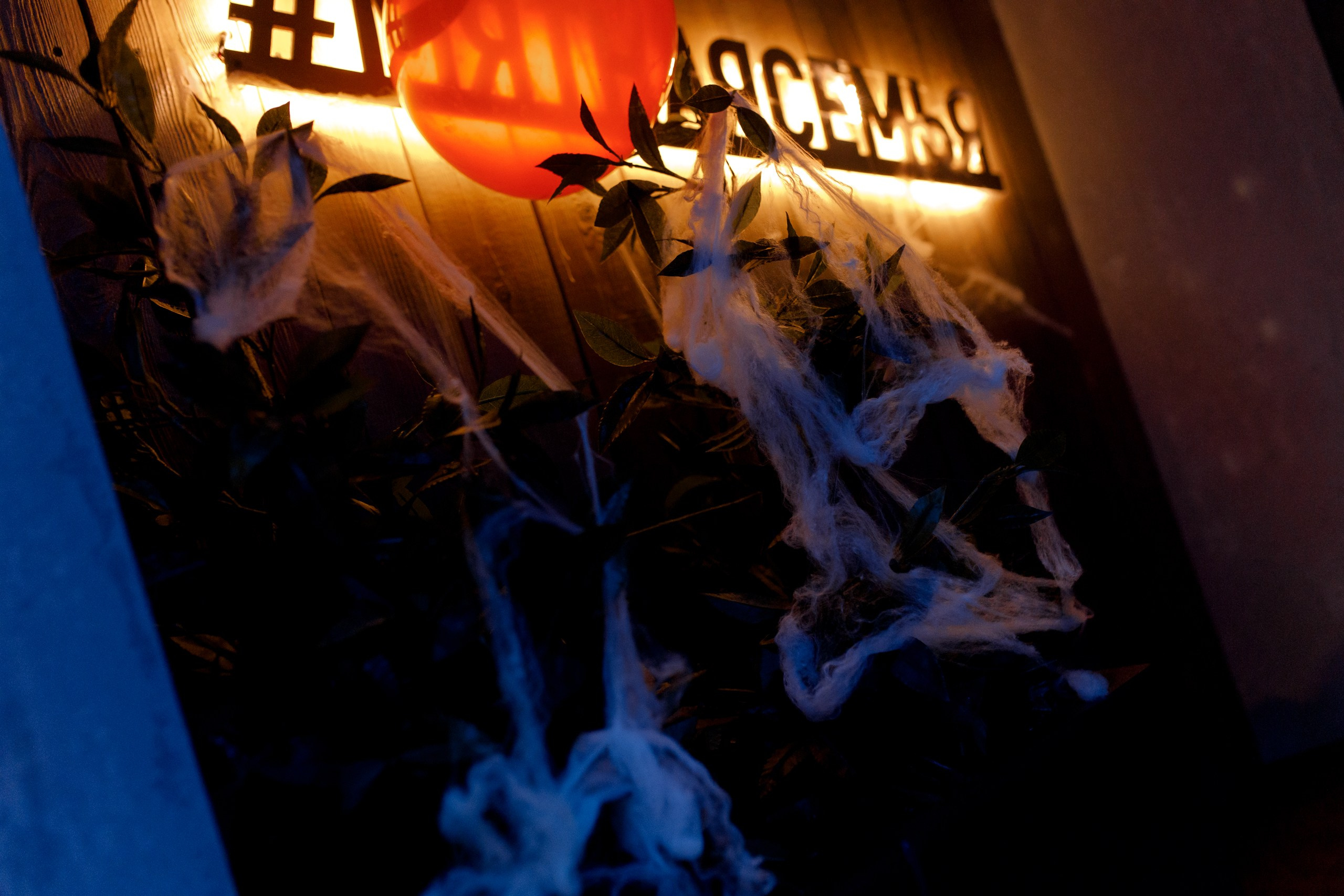 28/10/23 Караоке в Мяте Спортивная. Мята Спортивная — Кальянная, караоке, бар в Минске