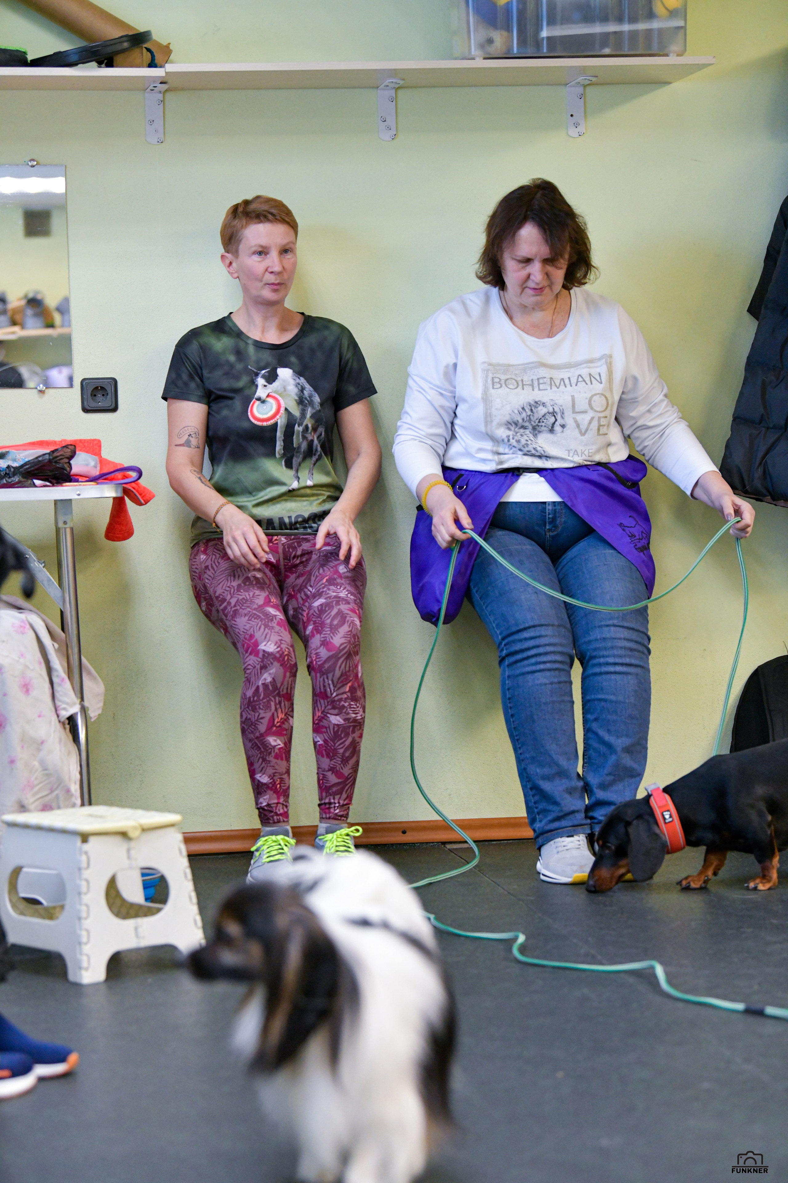 Кинологический клуб «Бодрый хвост». Свой взгляд через объектив