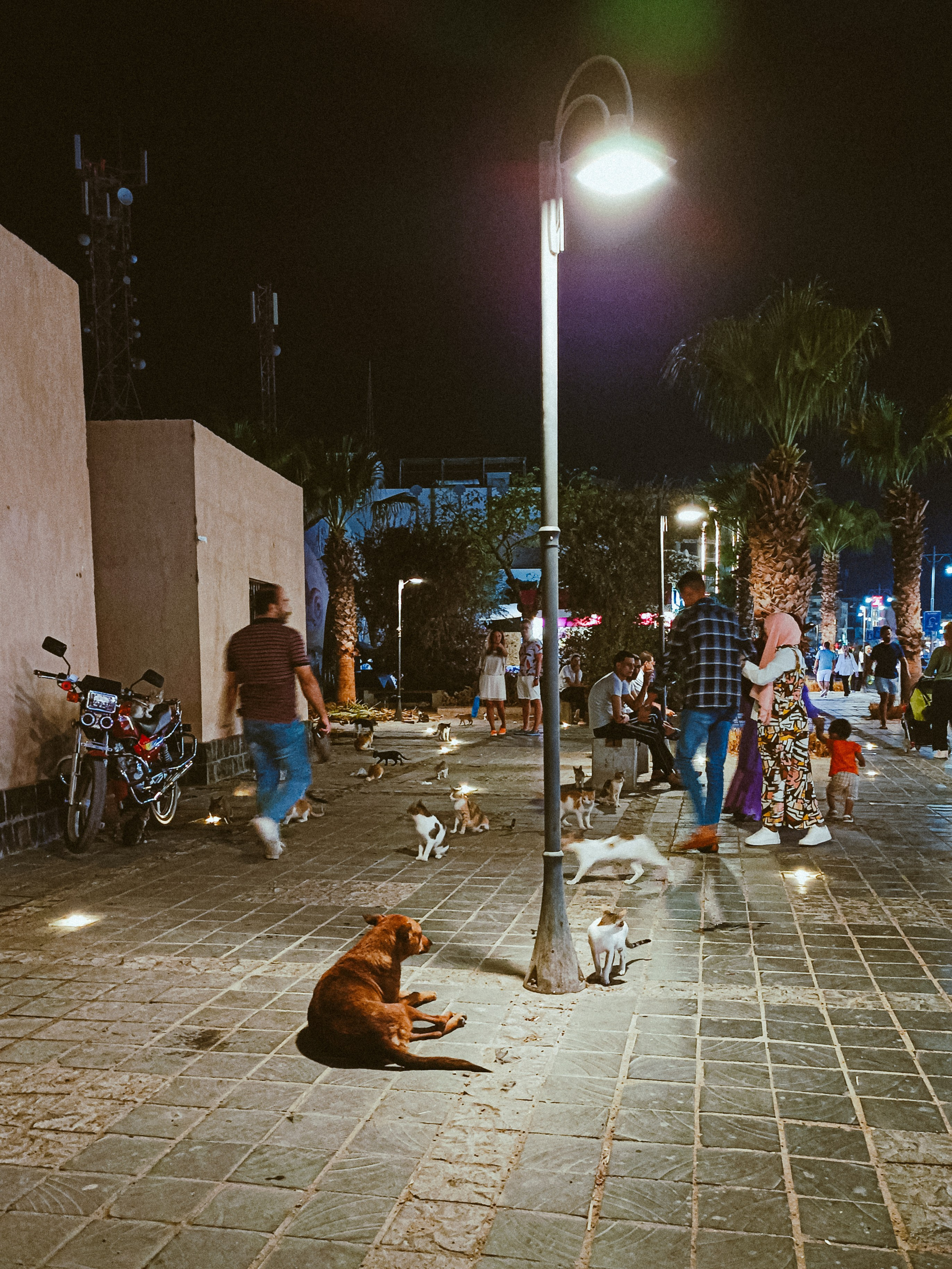 Мобильная. Jorgis — фотограф в Хургаде / обучение фотографии