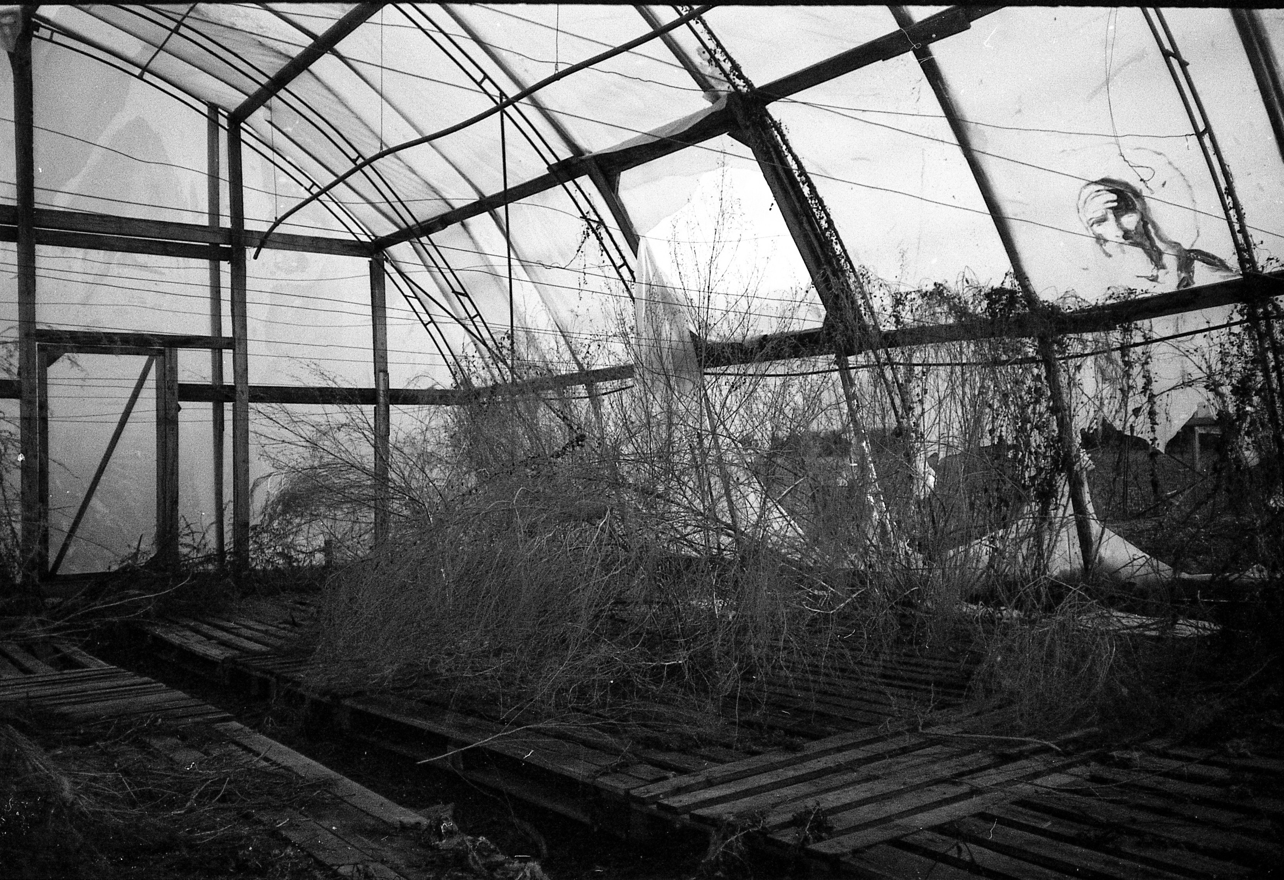 Окраины. Works