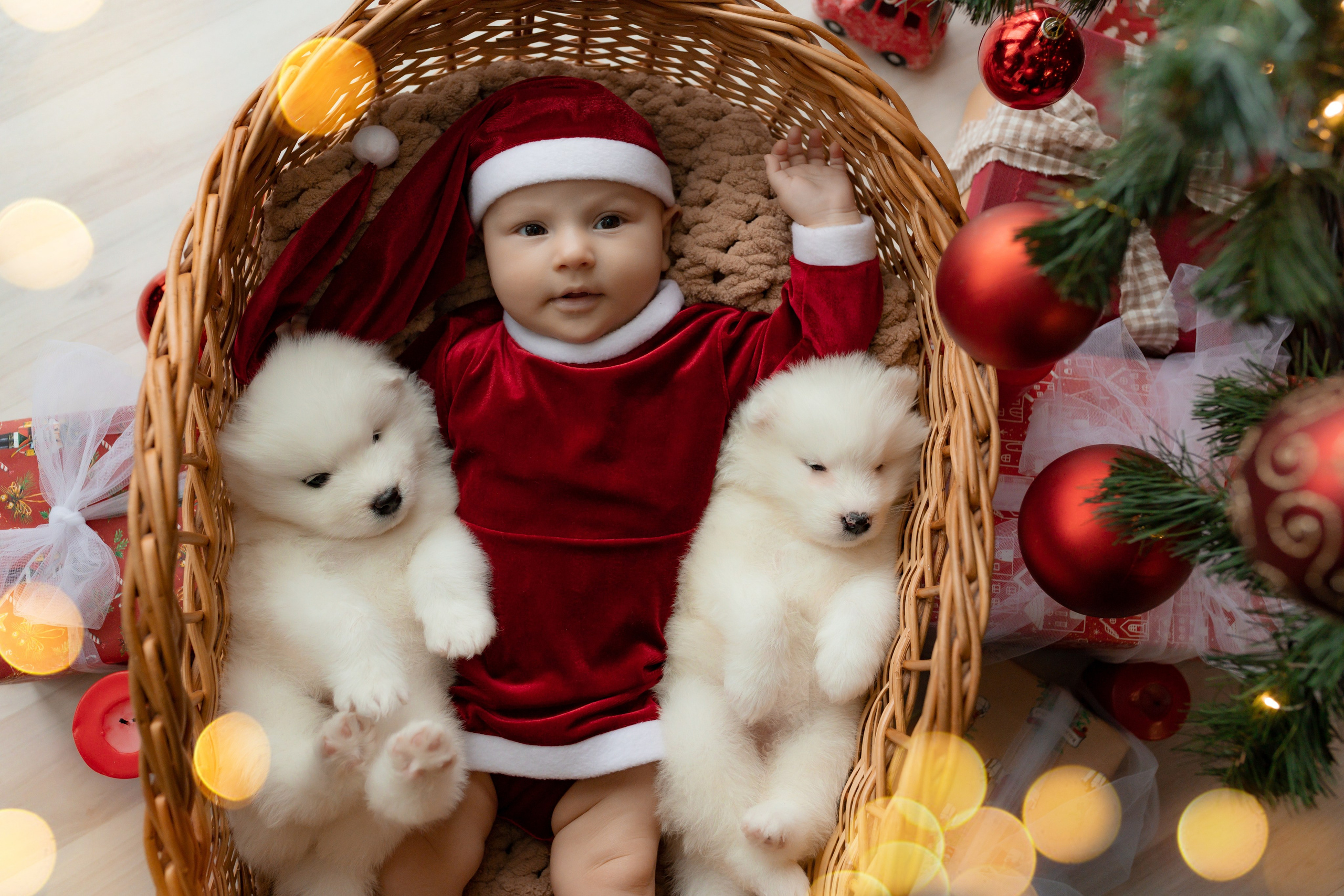Новогодние съёмки. Интерьерная фотостудия в г. Барнаул