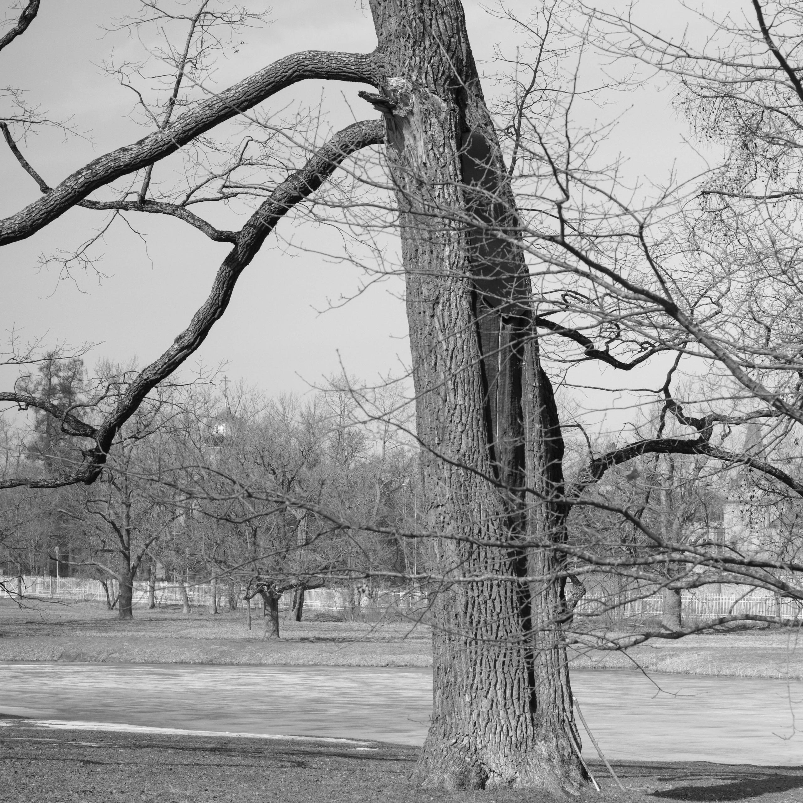 Tsarskoe Selo. Фотограф и исследователь фотографии из Санкт-Петербурга Елизавета Веприцкая