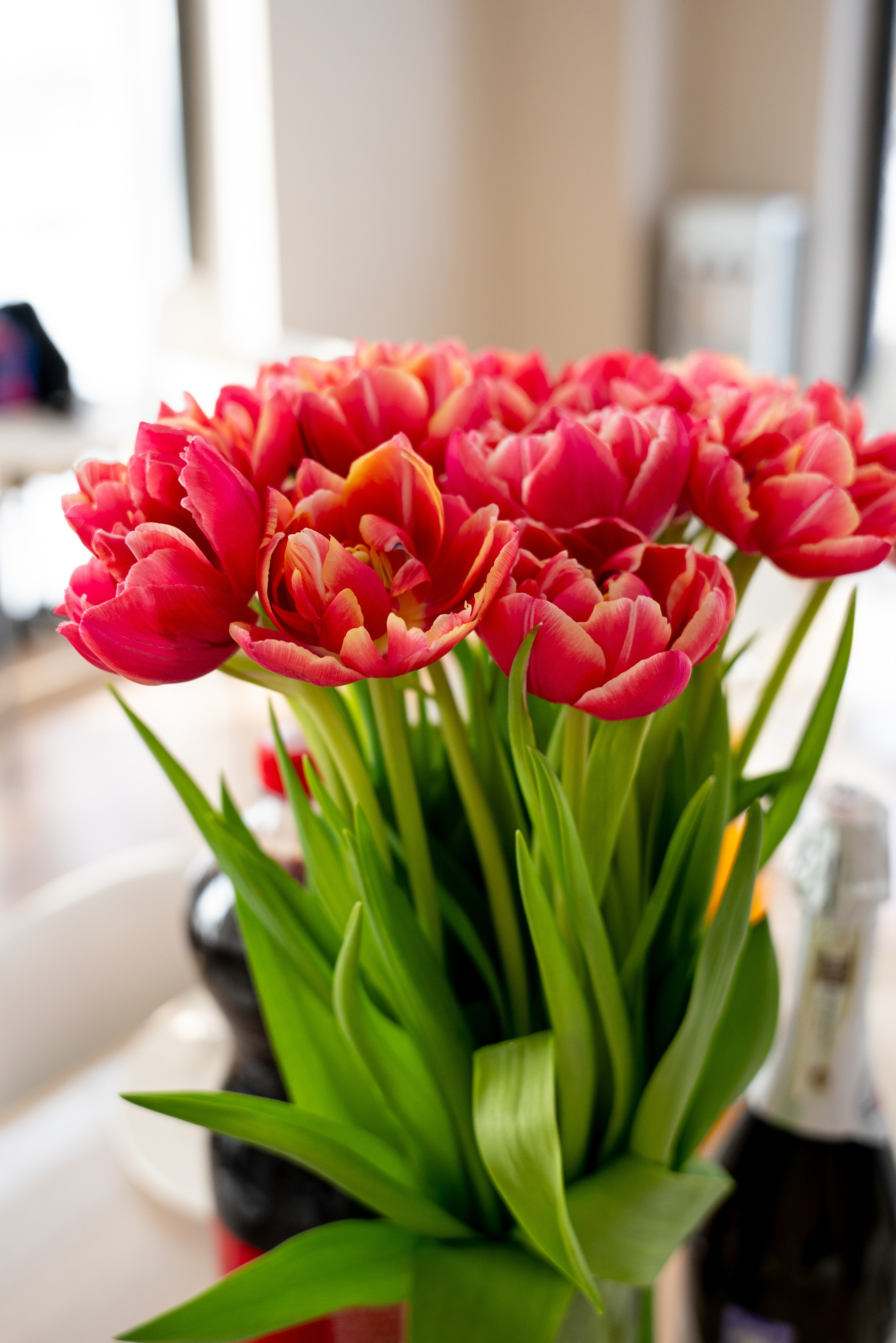 ДР АНИ. Фотограф на любое мероприятие