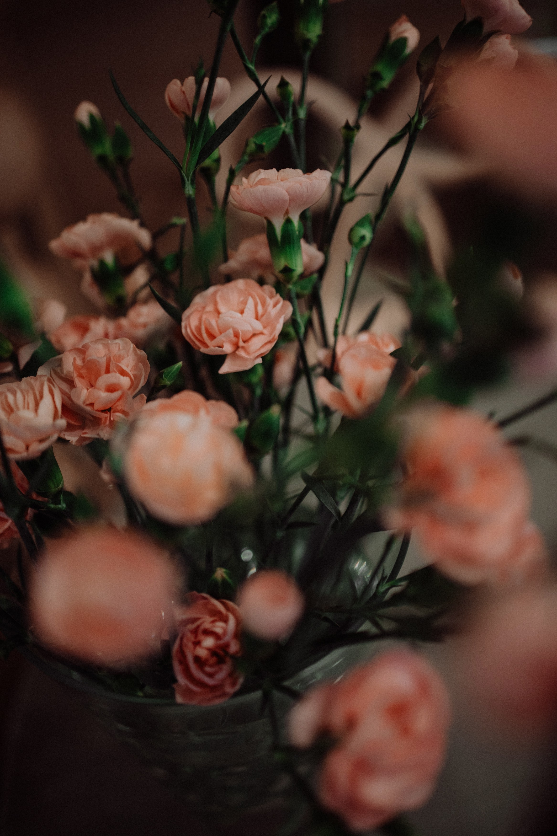 Владислав и Юлия Вечерняя прогулка по городу. Свадебный Фотограф в Иркутске Екатерина Елисеева