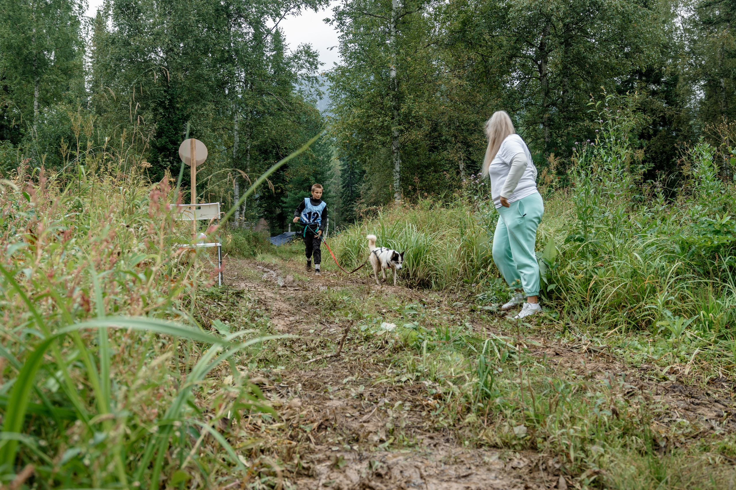 Дог-треккинг