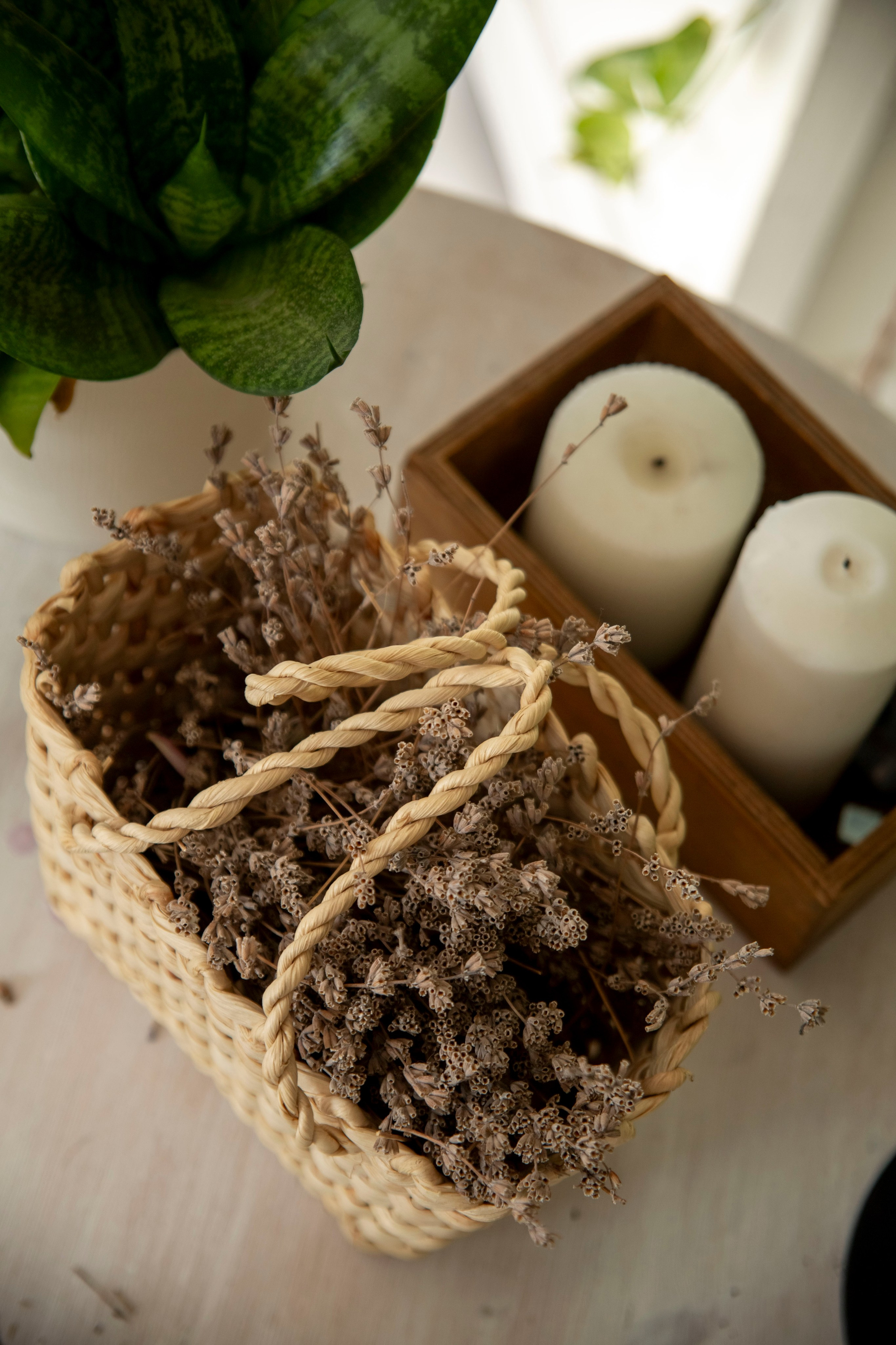 Съемка психолога