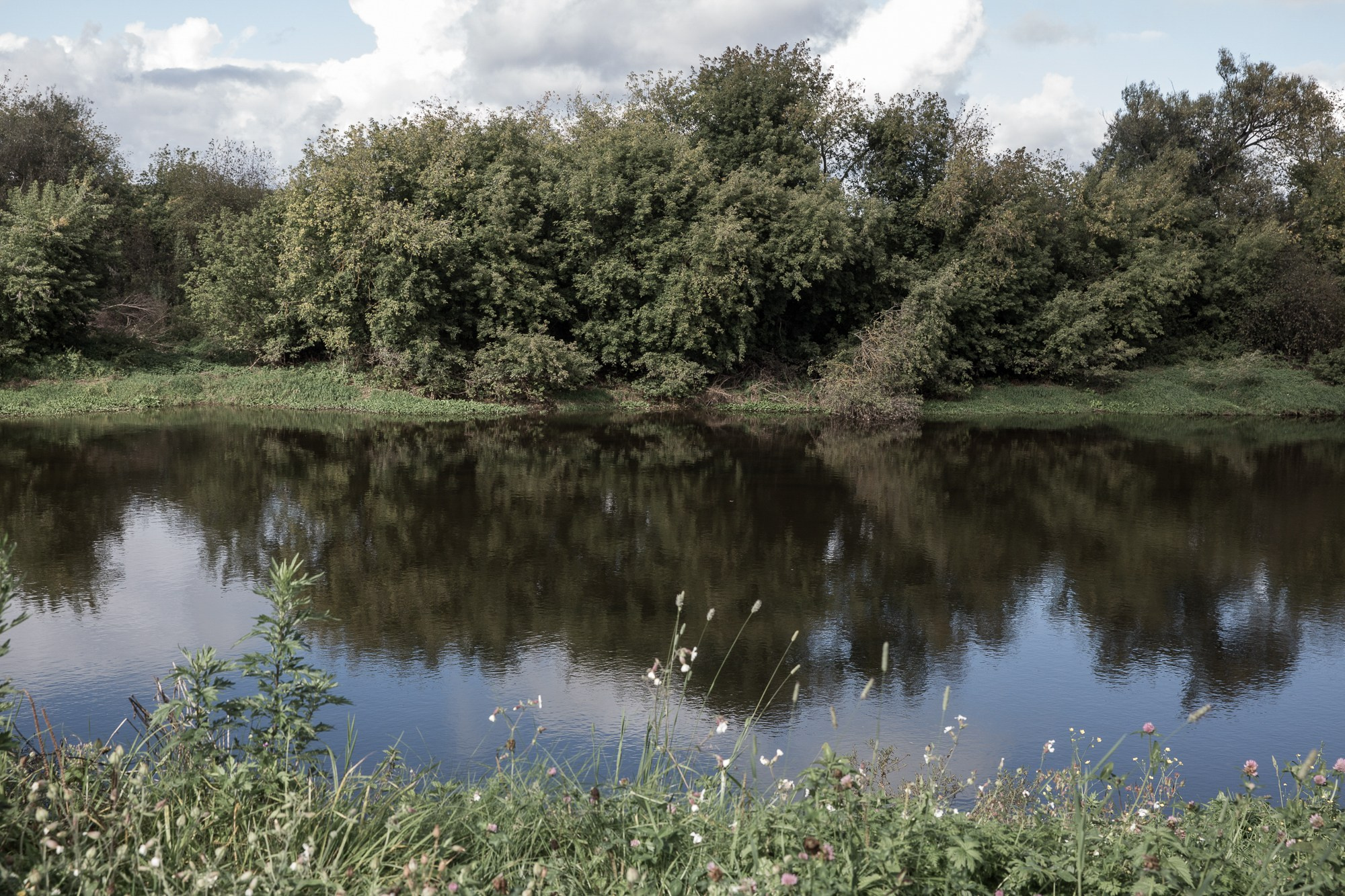 Мы прорастем травой. Yulia Nevskaya, documentary photographer and photojournalist