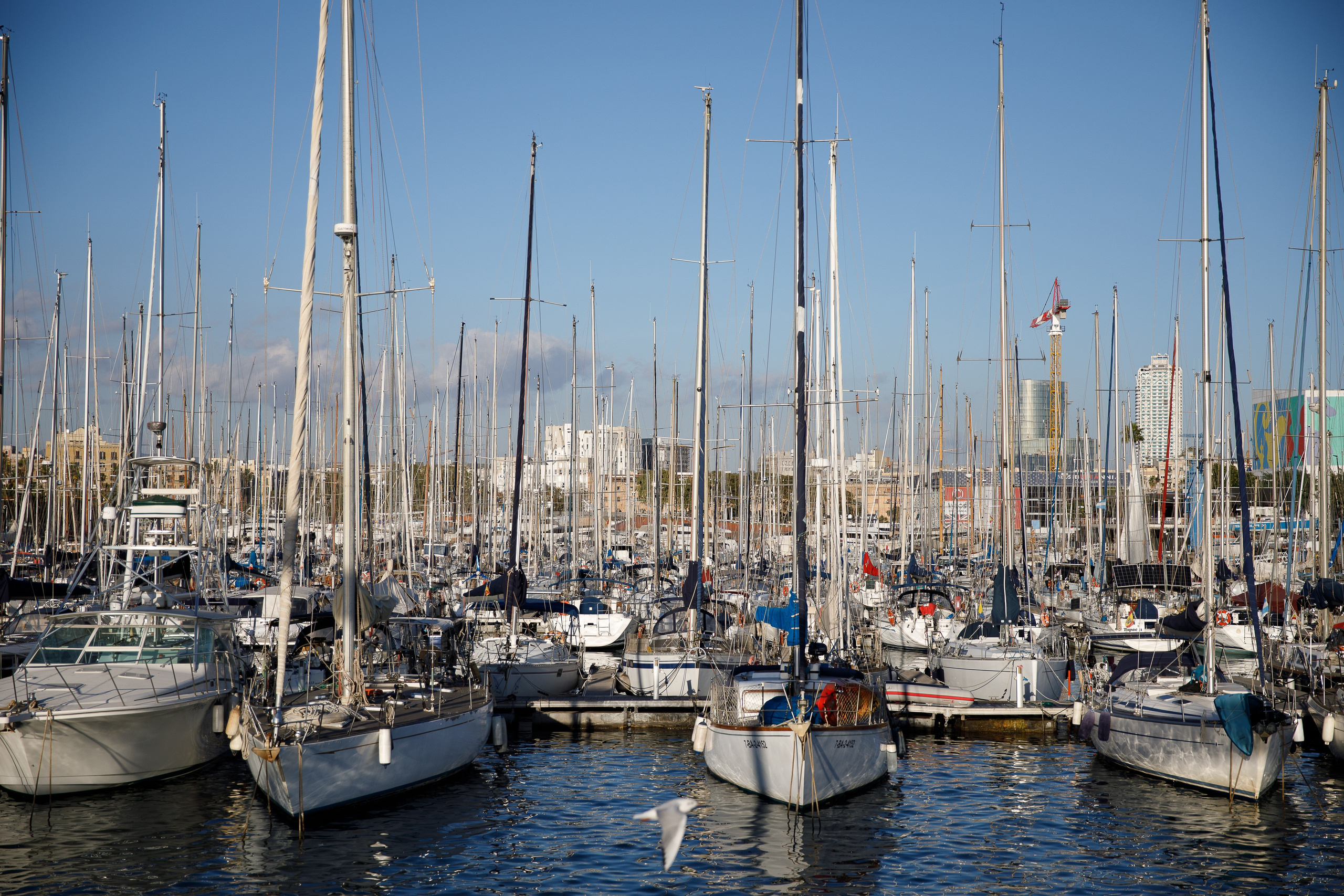 Барселона. Репортажный и портретный фотограф Русакова Жанна