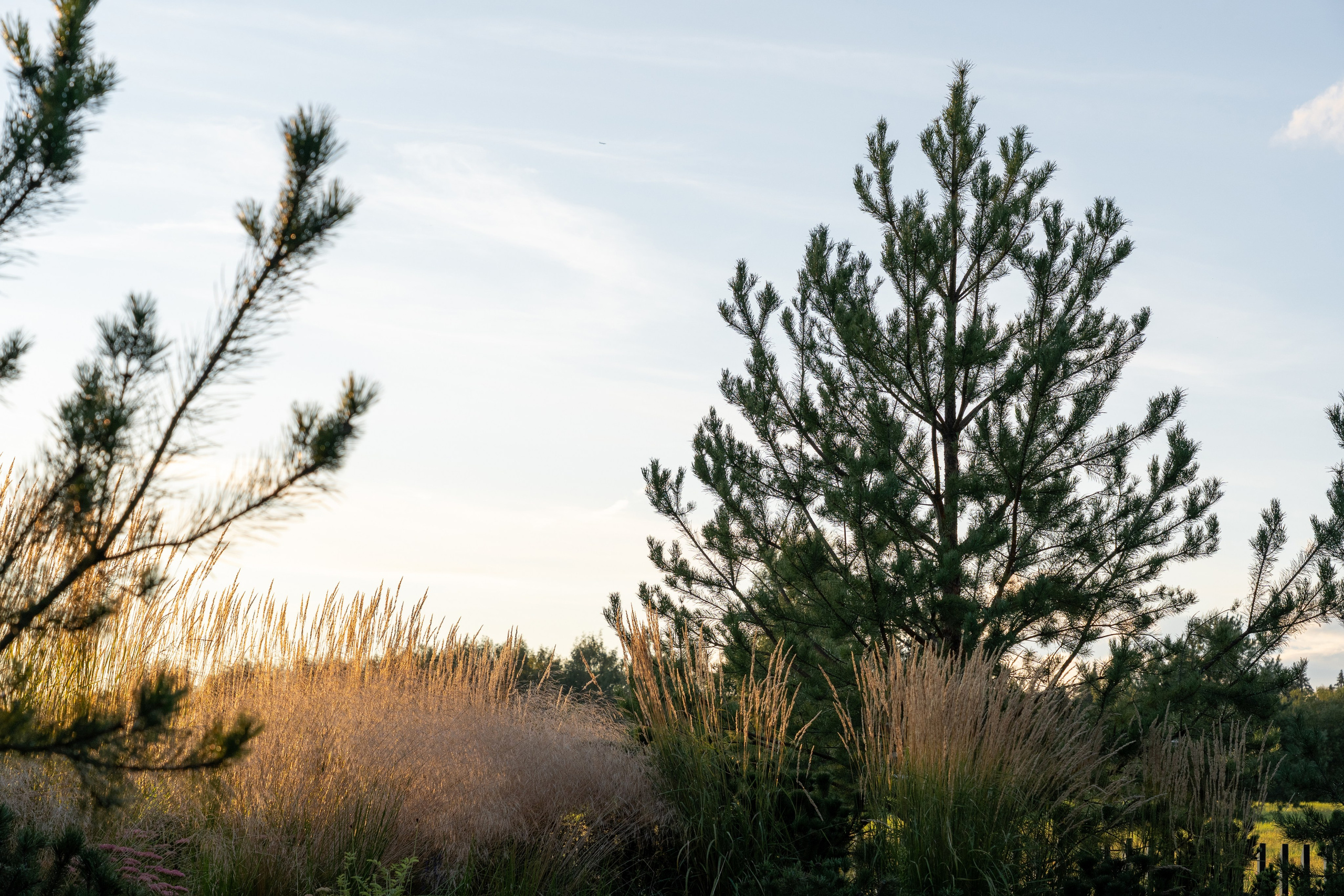 Private house, Moscow region. Артамонов Александр | Архитектурный и ландшафтный фотограф