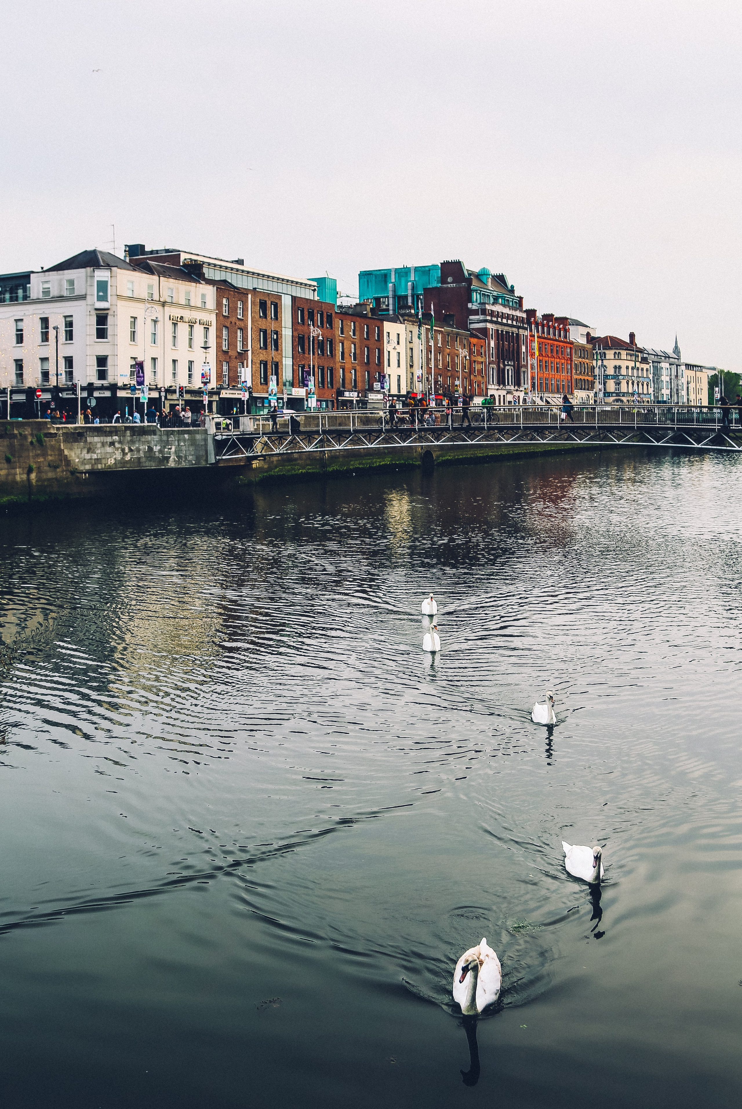 Ирландия: Дублин — писательскими путями. Дарья Письменюк / Darya Leitstern — фотограф, музыкант, журналист, путешественник