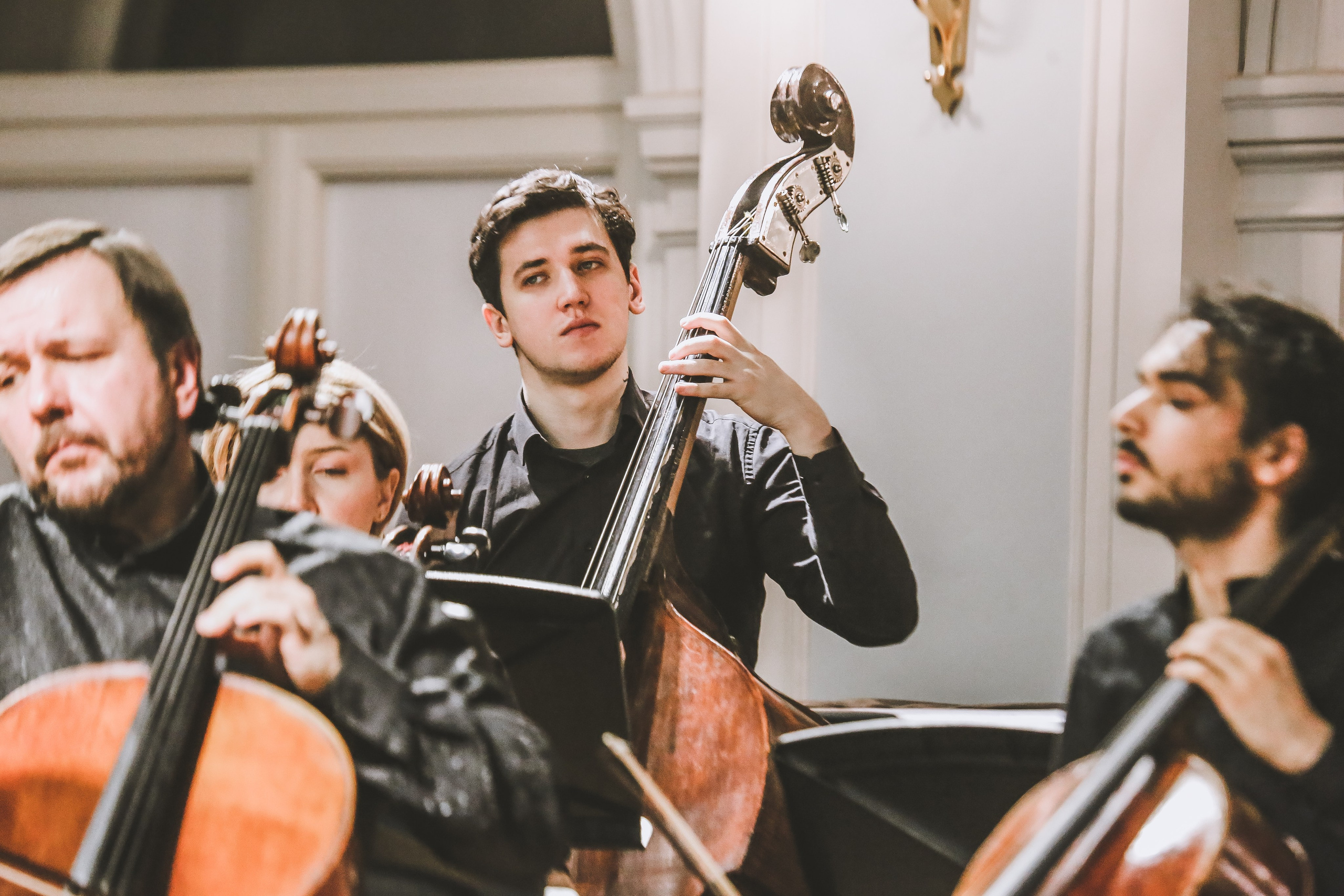 Концерт с Квартетом им. Бородина. Дарья Письменюк / Darya Leitstern — фотограф, музыкант, журналист, путешественник