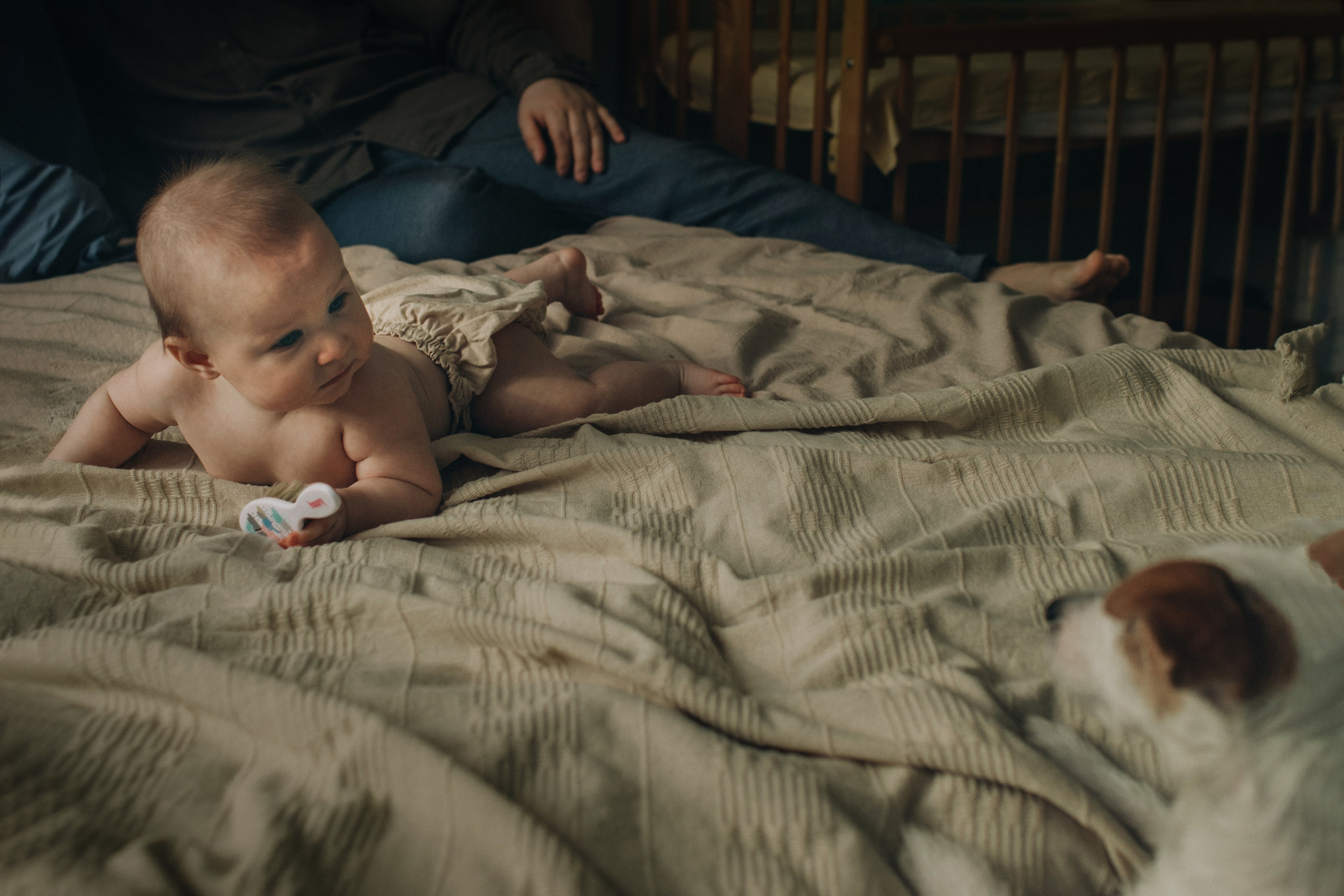 Поля, Оля, Коля. Семейный фотограф Томск