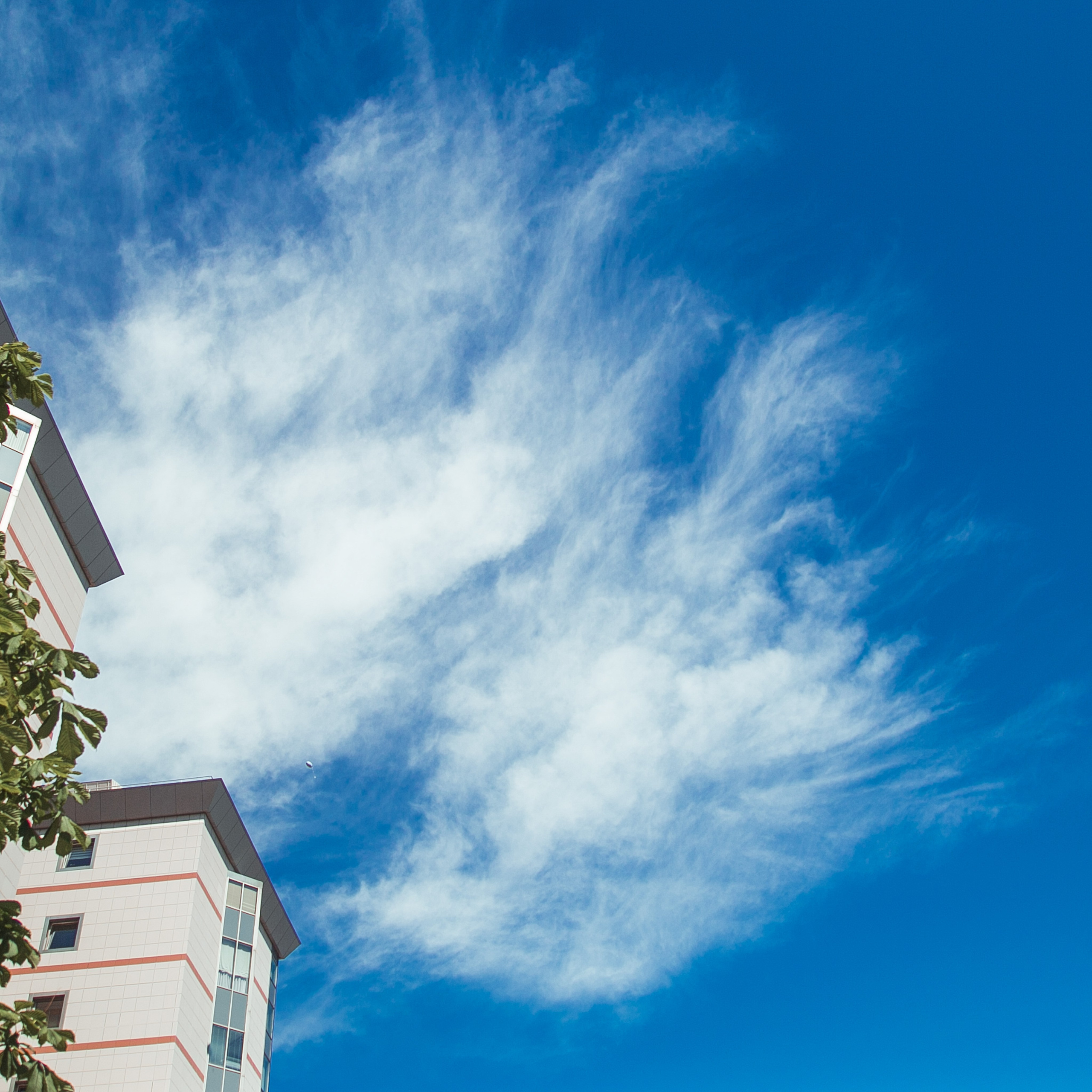 Выписка Андрея. Репортажный фотограф Борис Геер