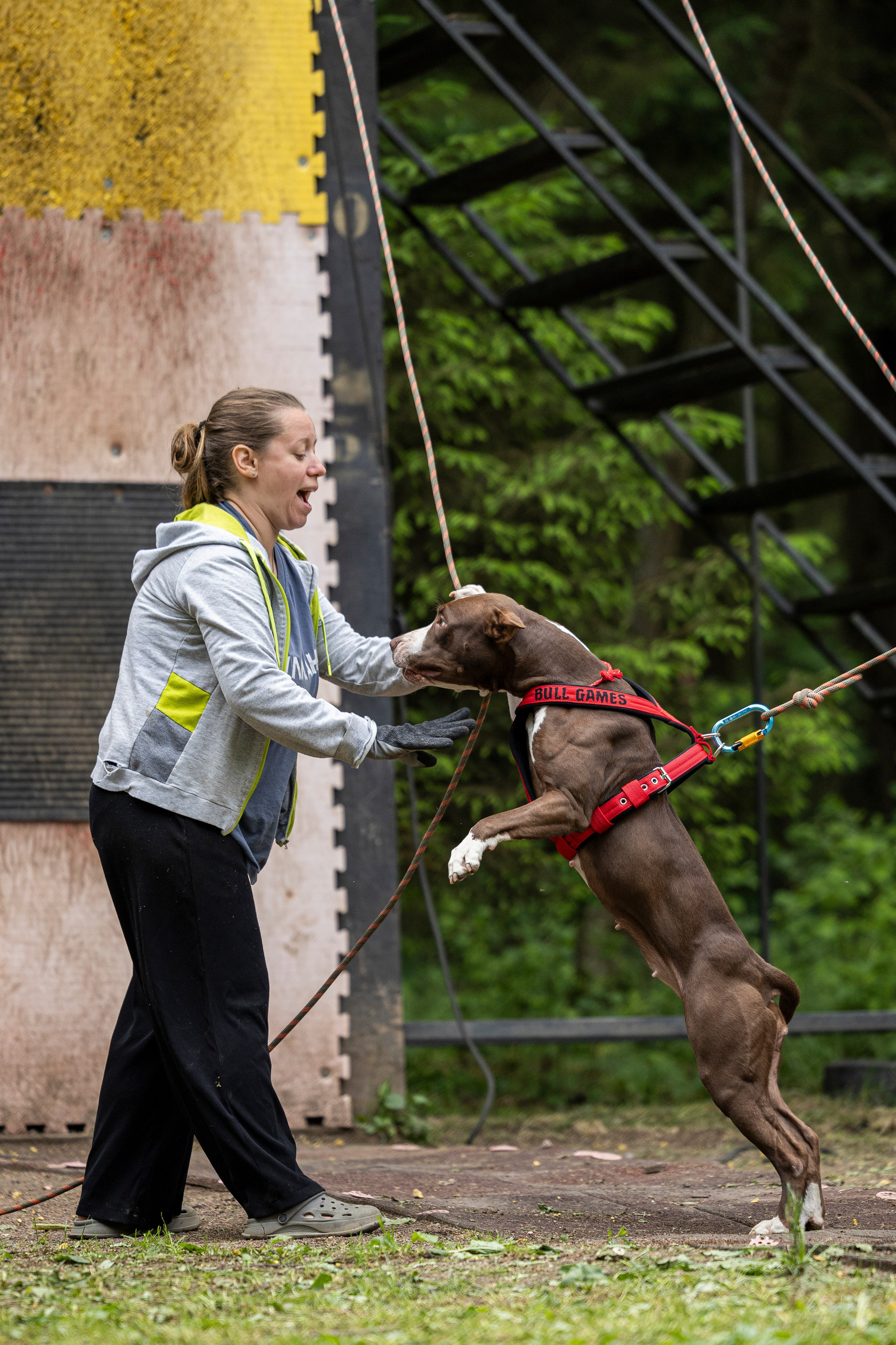 Пит-стафф многоборье. Фотограф-анималист Анна Маринич