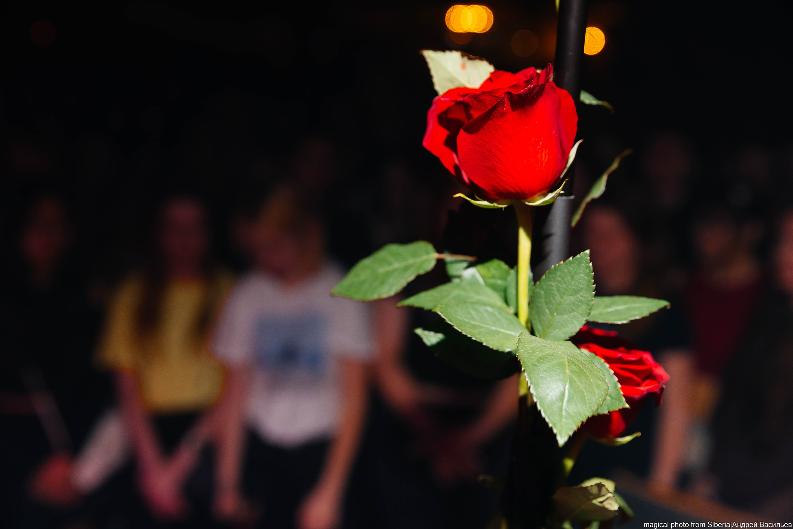 Playingtheangel. _Carpe diem_