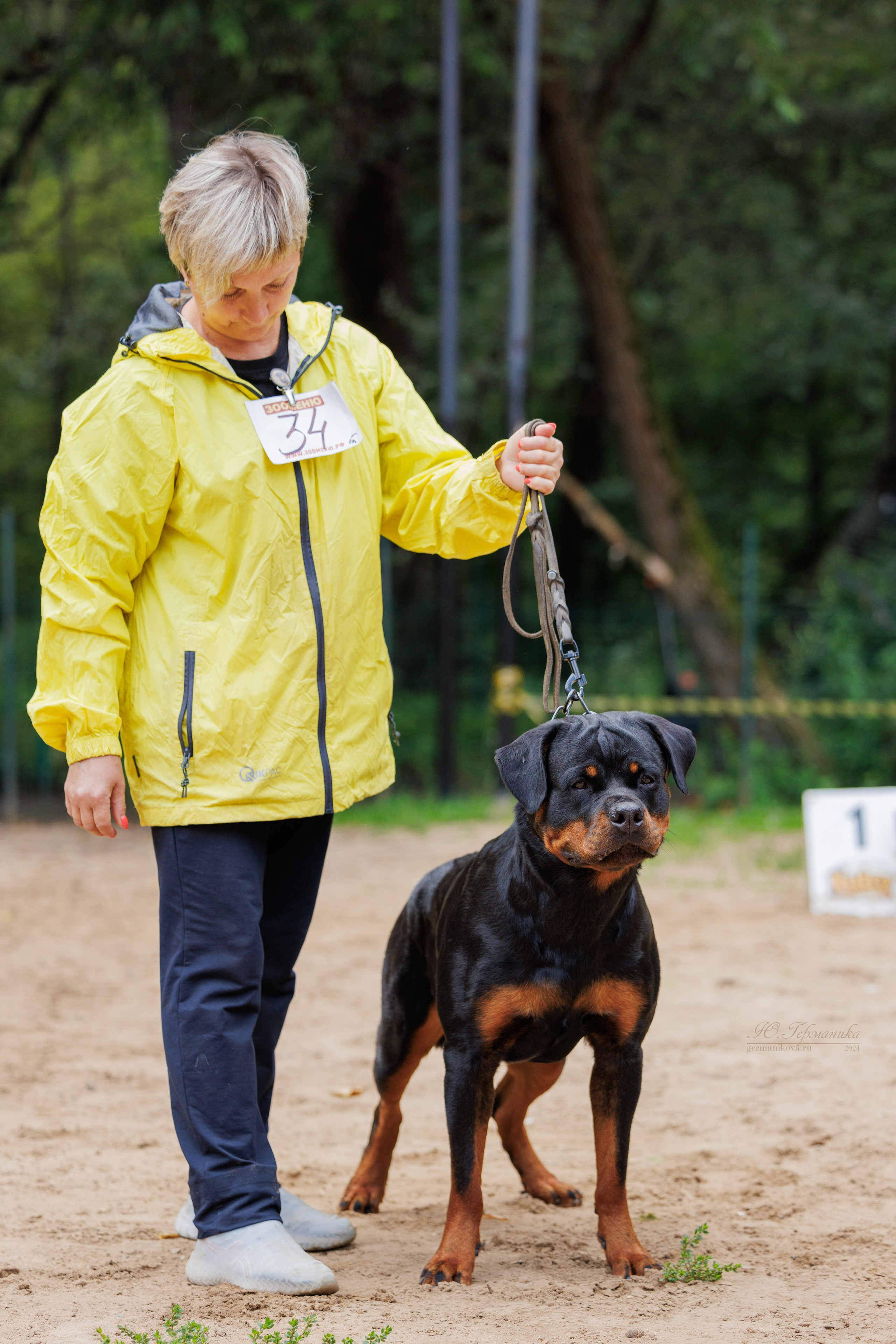 Рязань-Ховрино 10-11.08.2024 3хмоно ротвейлеров. Фотограф-анималист Юлия Германика