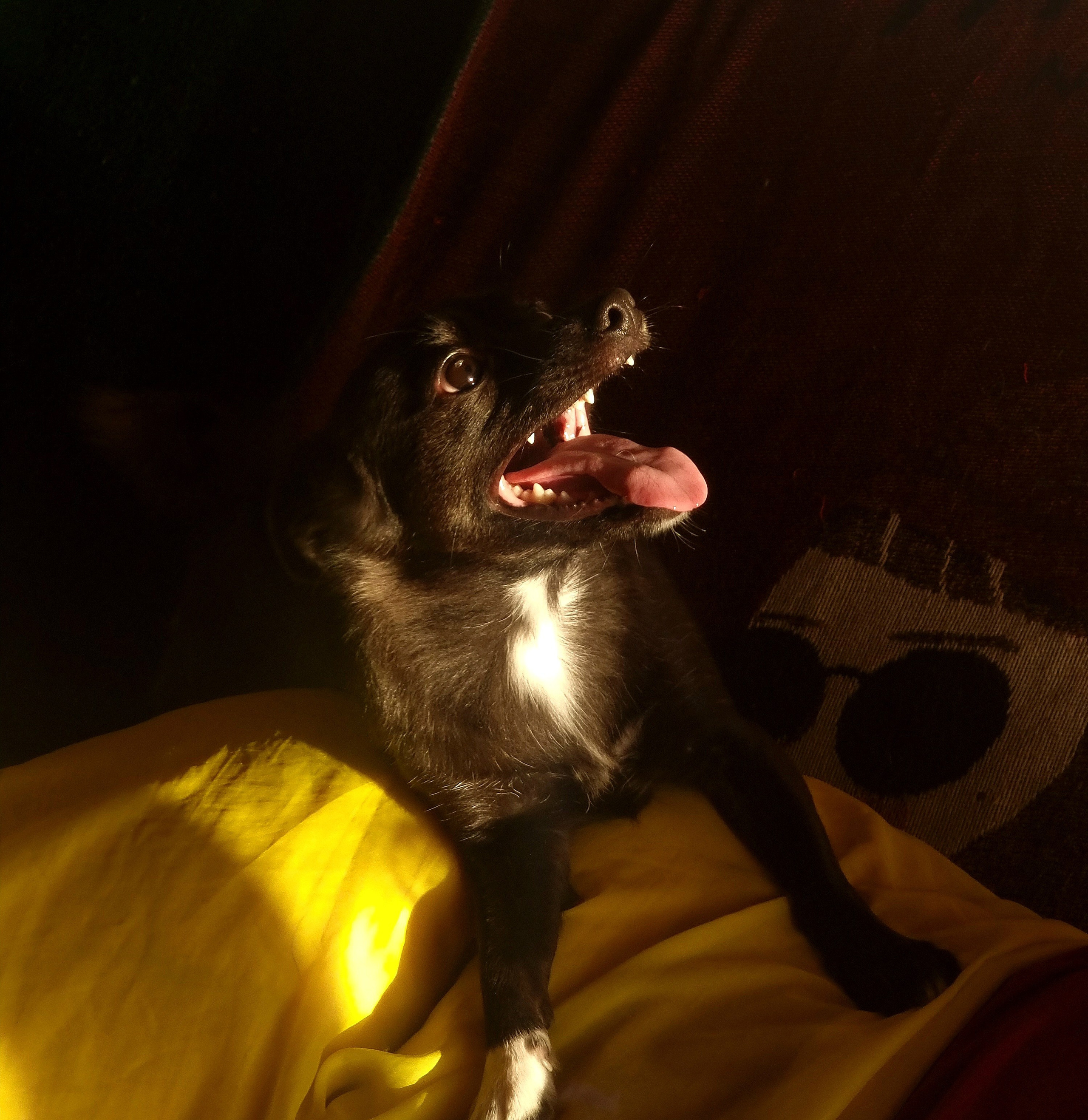 Июль 2025. Den Mirov — Фотограф, Музыкант