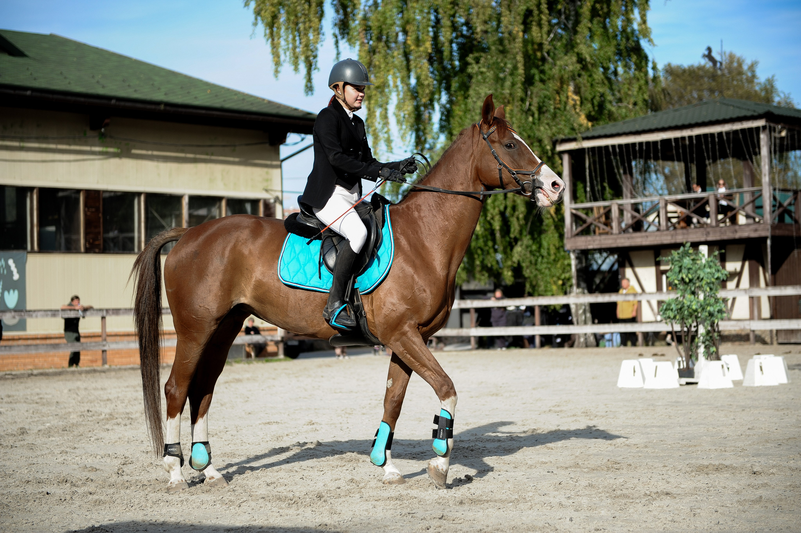 Конкур в конном клубе, репортаж Москва. Фотограф, визажист. Москва