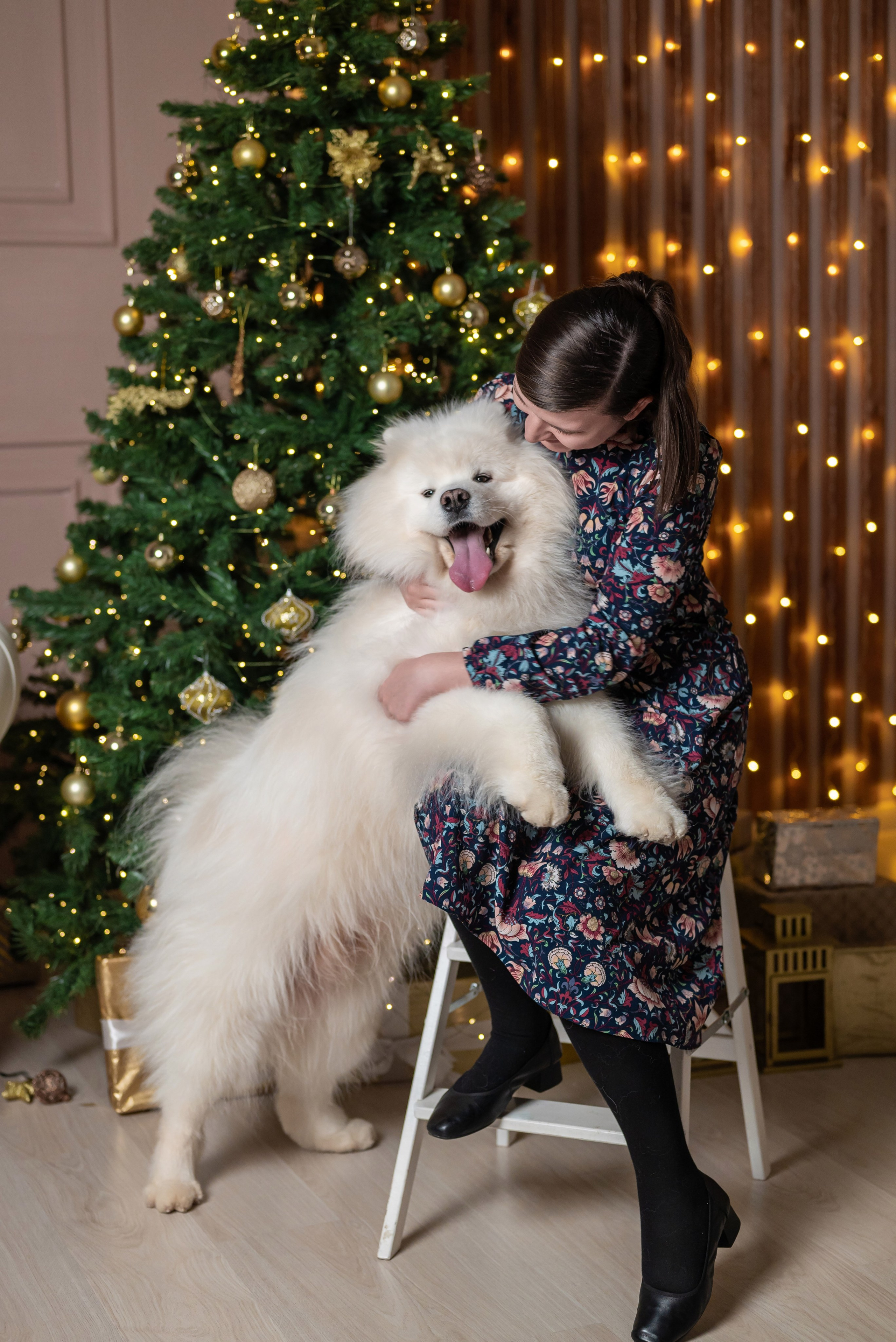 Фотопроект с самоедом 2023 г. Фотограф в городе Салават