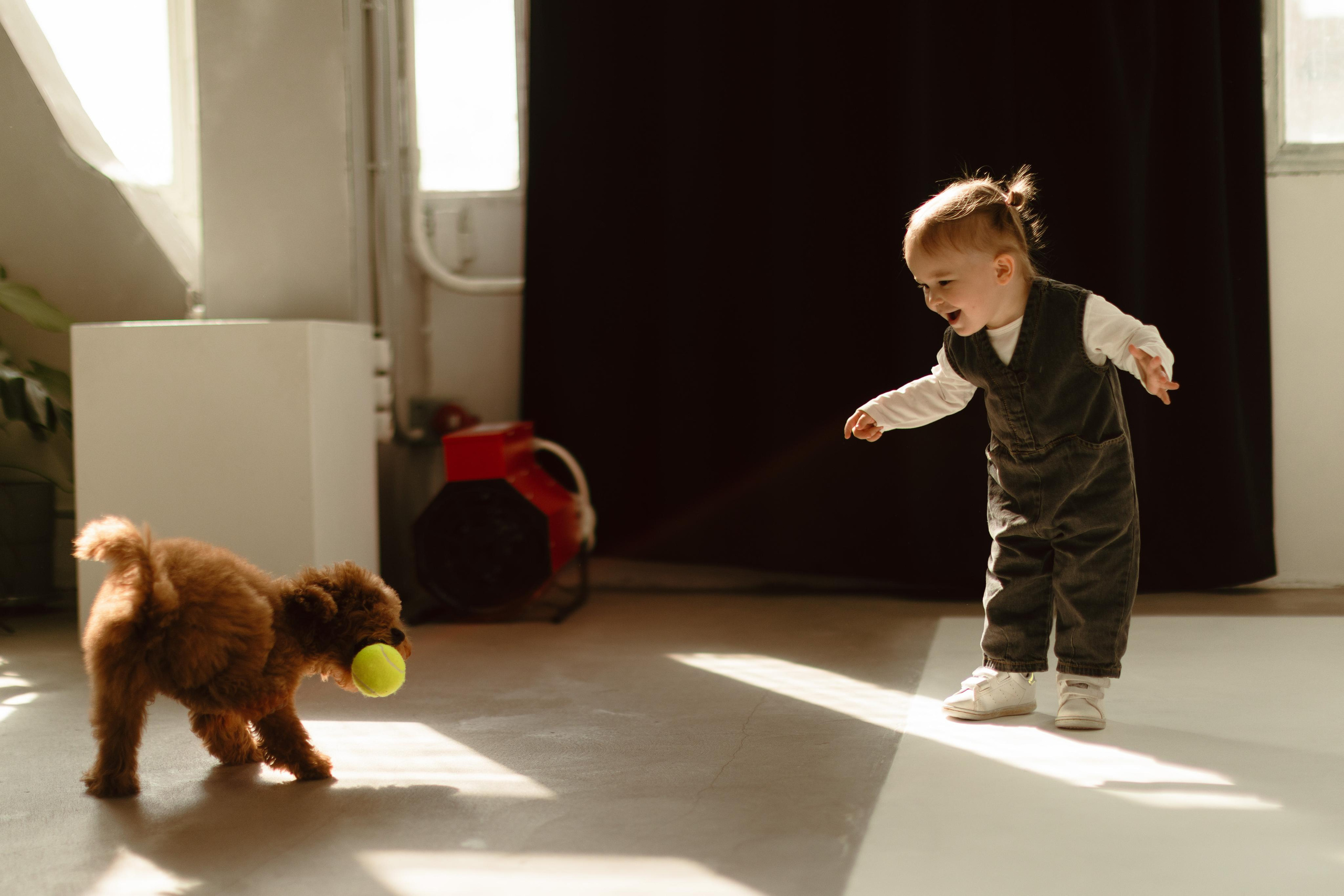 Женя, Женя, Уляша и Чуи!. Фотограф Москва и Екатеринбург. Максимова Соня