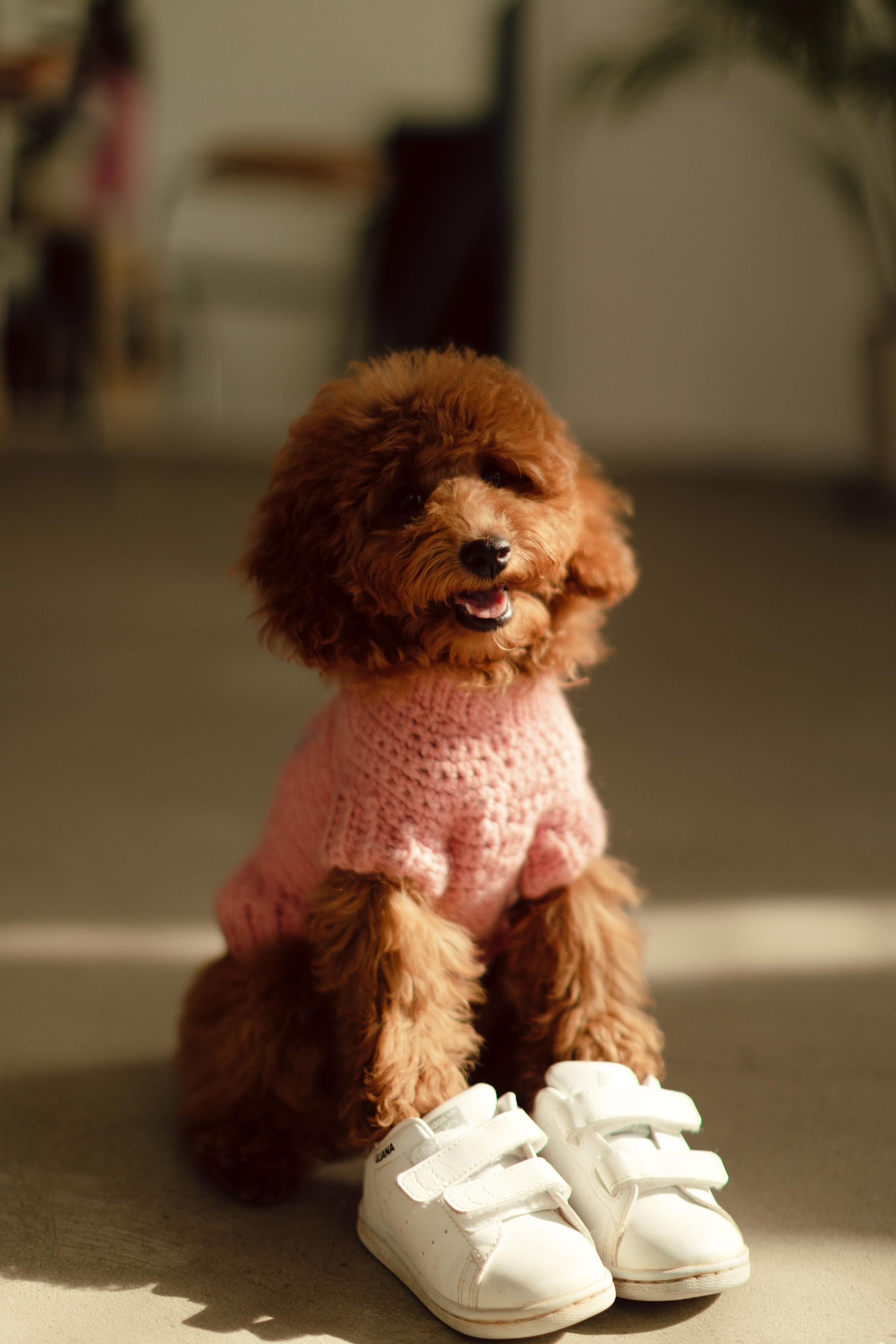 Женя, Женя, Уляша и Чуи!. Фотограф Москва и Екатеринбург. Максимова Соня